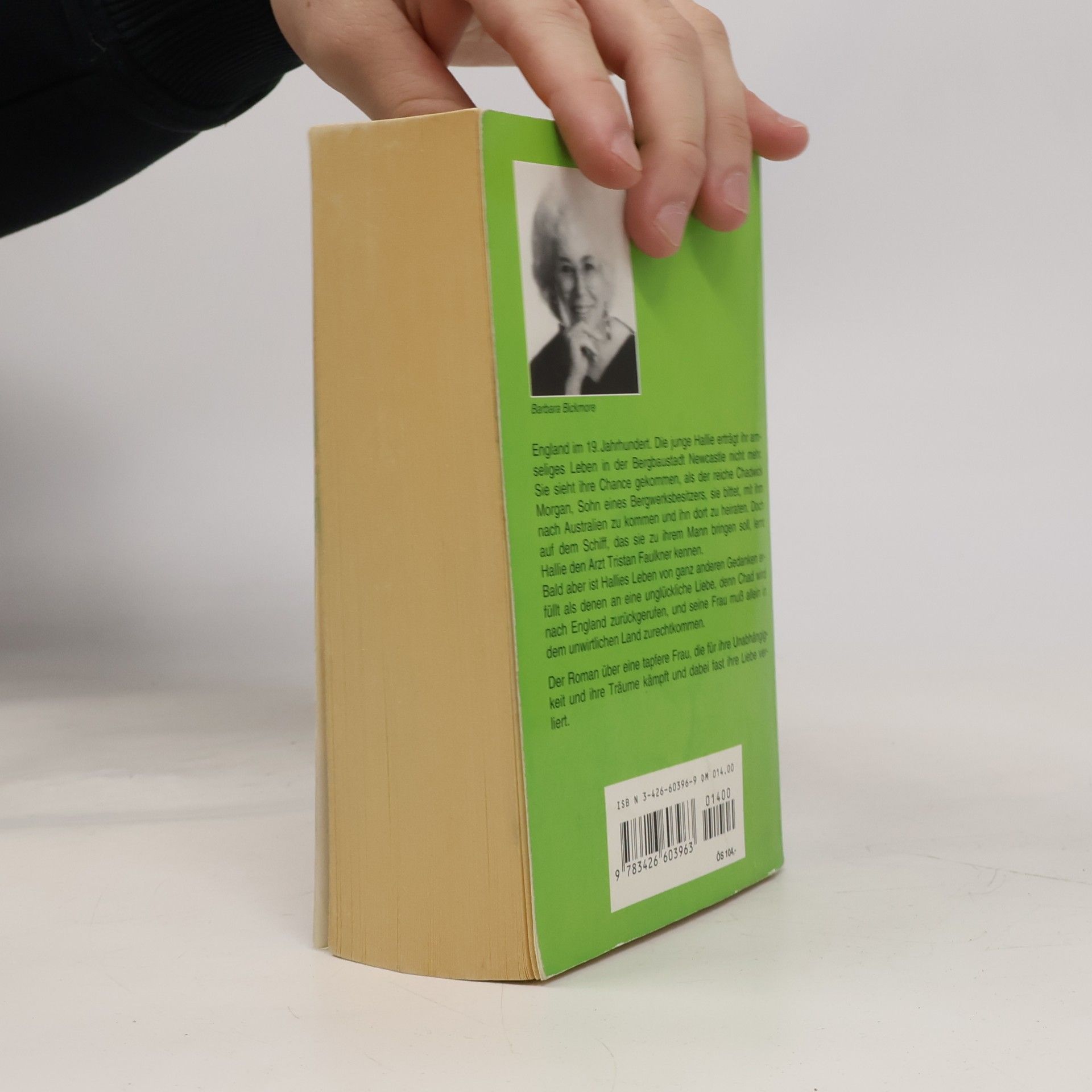 Barbara Bickmore Der Mond am anderen Ende der Welt