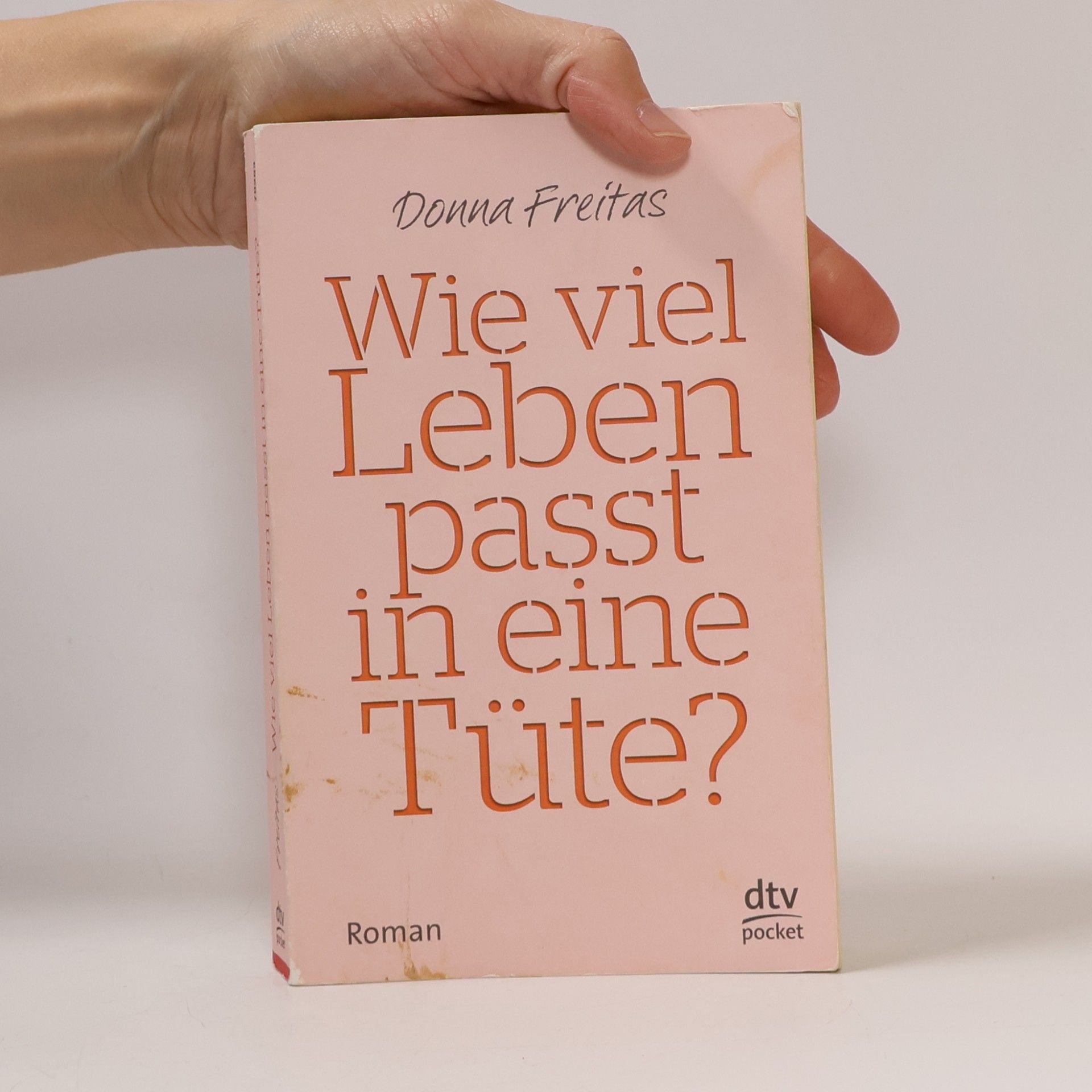 Donna Freitas Wie viel Leben passt in eine Tüte?