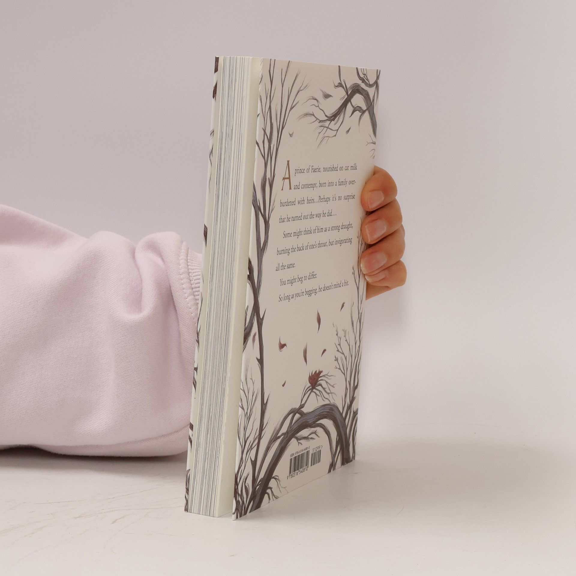 Holly Black How the King of Elfhame Learned to Hate Stories
