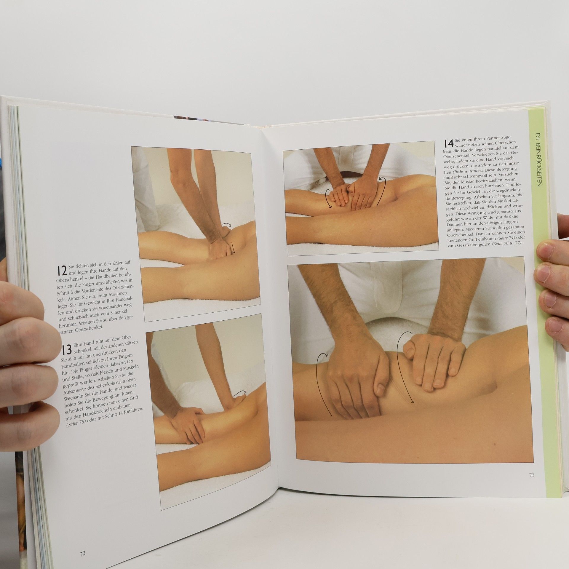 Fiona Harrold Das grosse Mosaik-Massagebuch