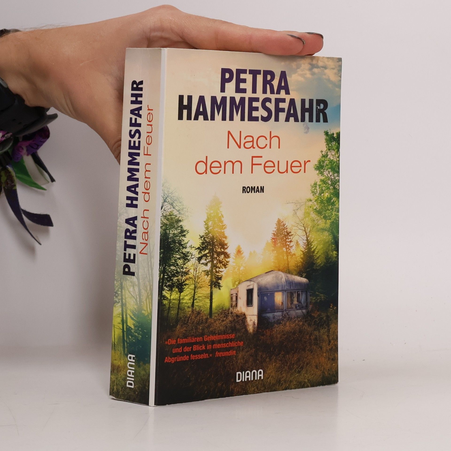 Petra Hammesfahr Nach dem Feuer