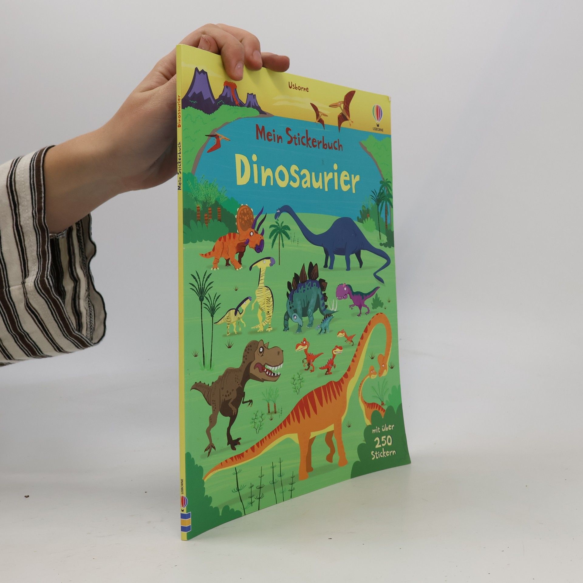 Fiona Watt Mein Stickerbuch: Dinosaurier