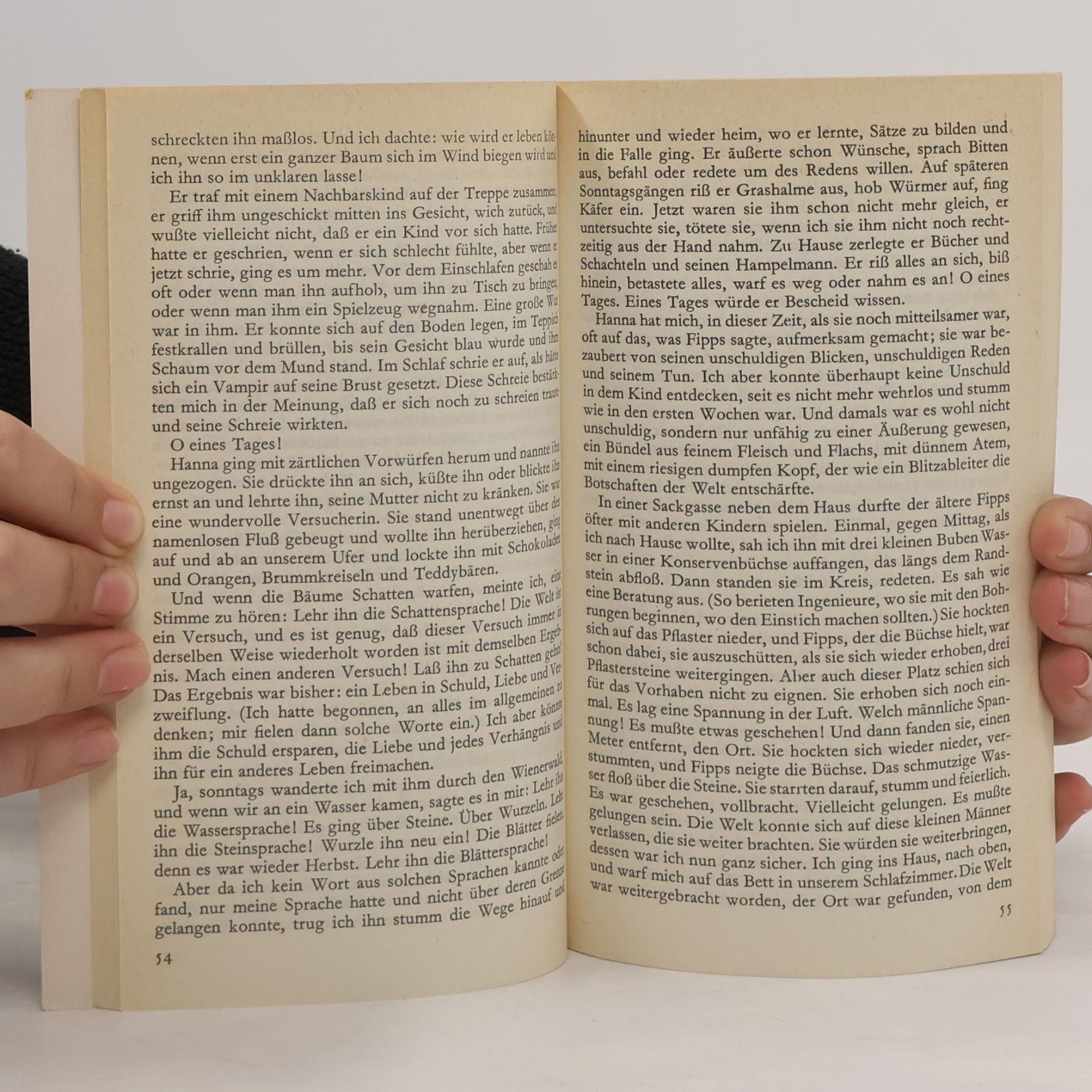 Ingeborg Bachmann Das dreißigste Jahr