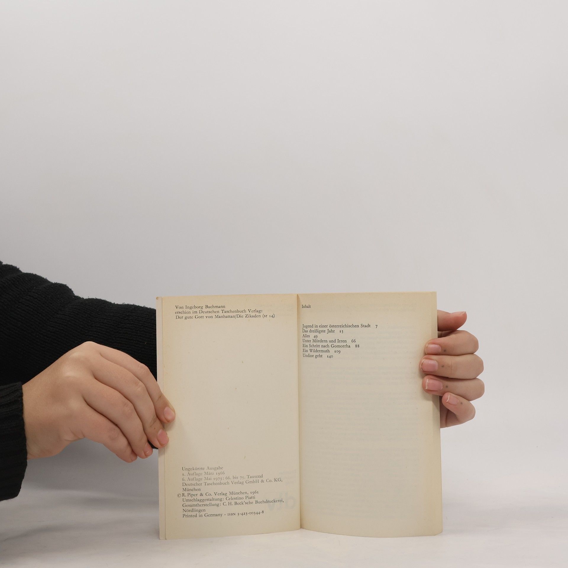 Ingeborg Bachmann Das dreißigste Jahr