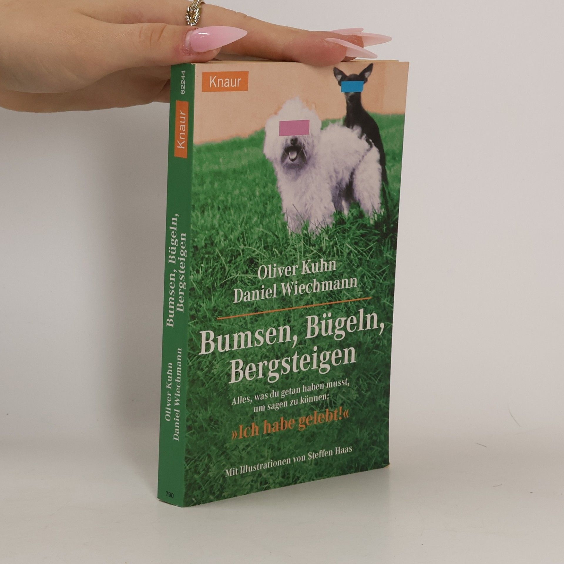 Bumsen, bügeln, bergsteigen