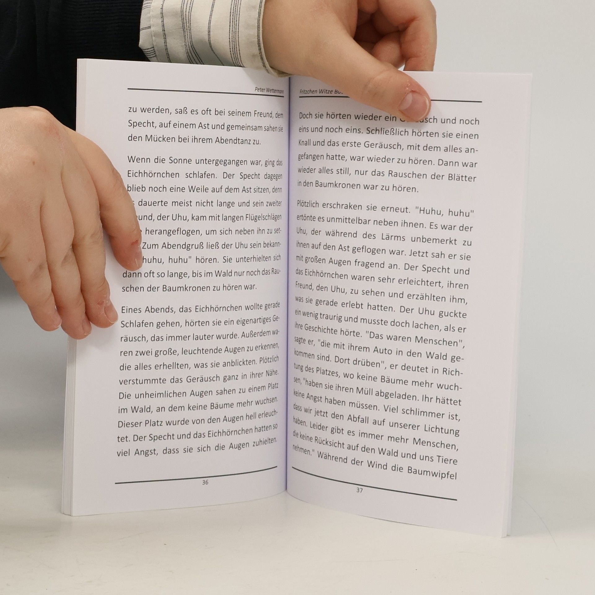 Peter Wettermann Fritzchen Witze Buch für Kinder