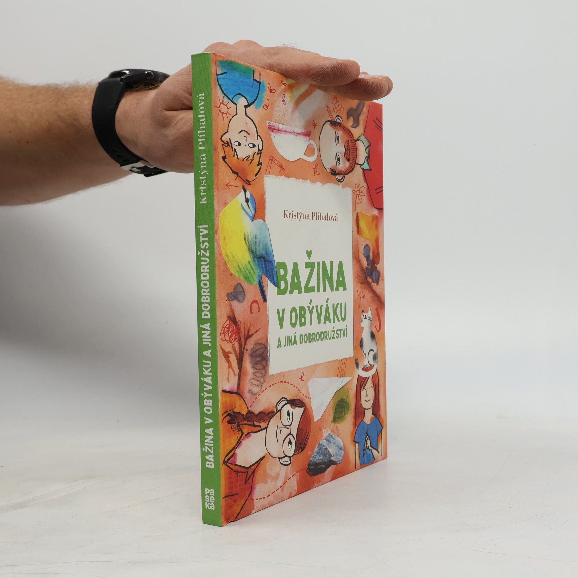 Bažina v obýváku a jiná dobrodružství