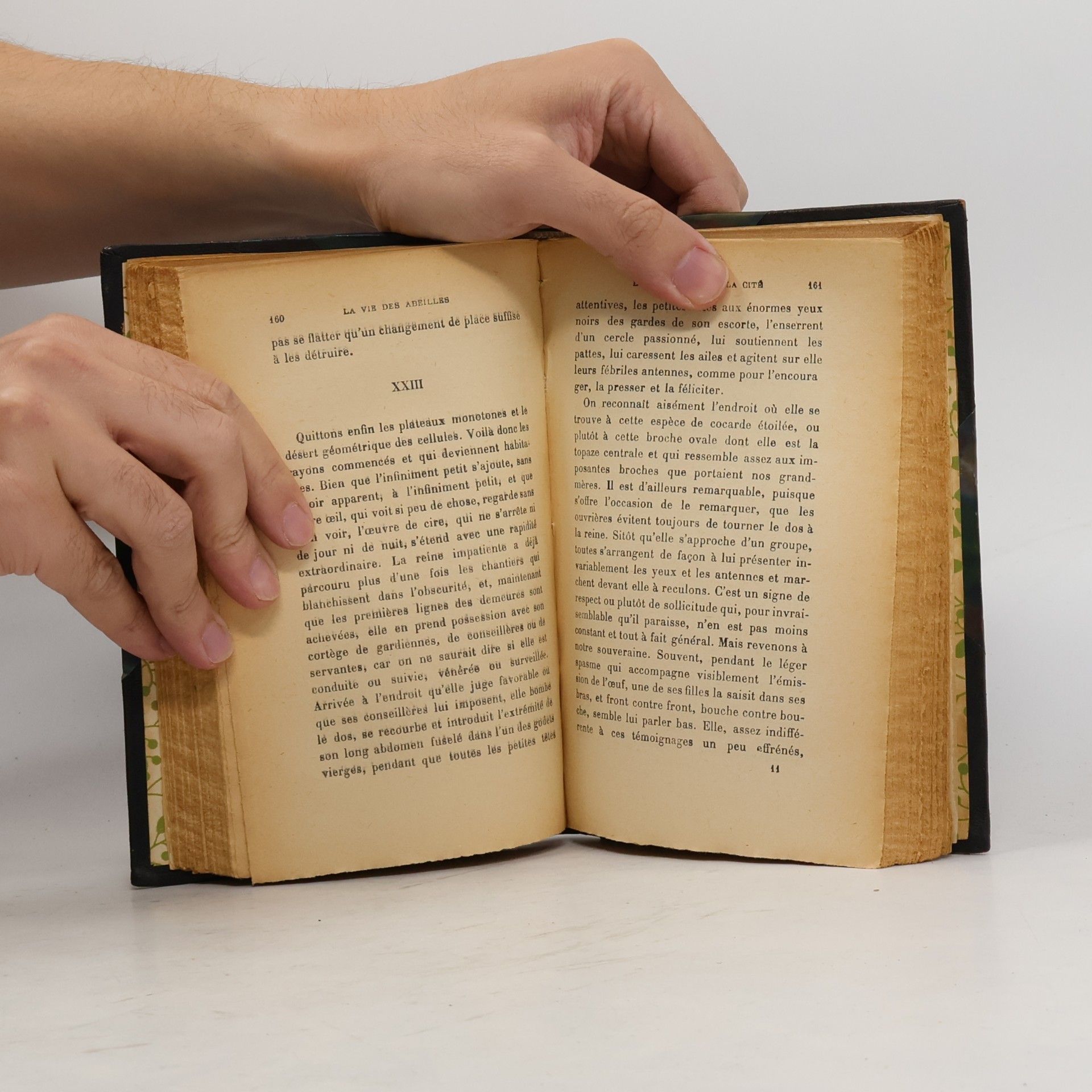 Maurice Maeterlinck La Vie des Abeilles