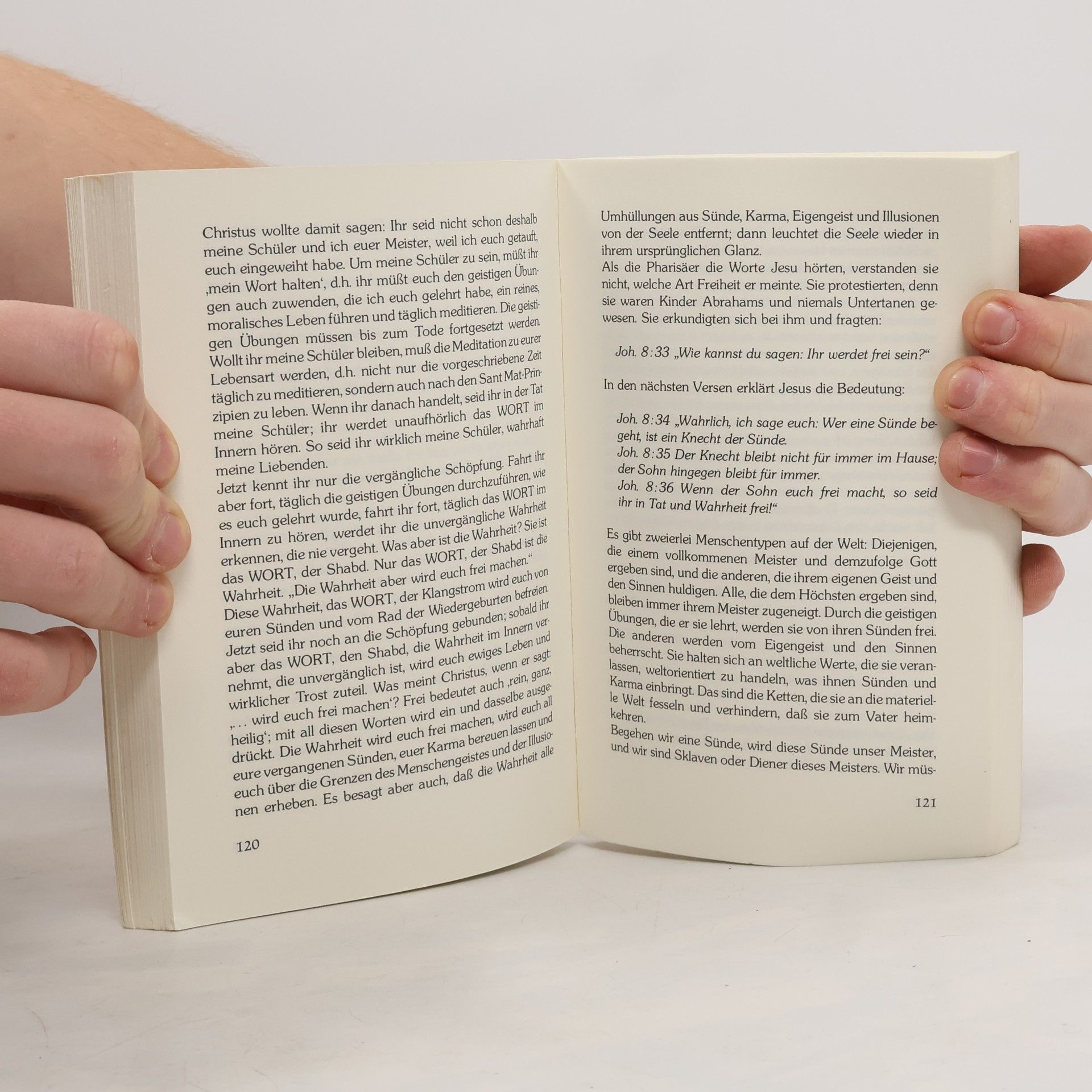 Charan Singh Die Mystik des Johannes-Evangeliums