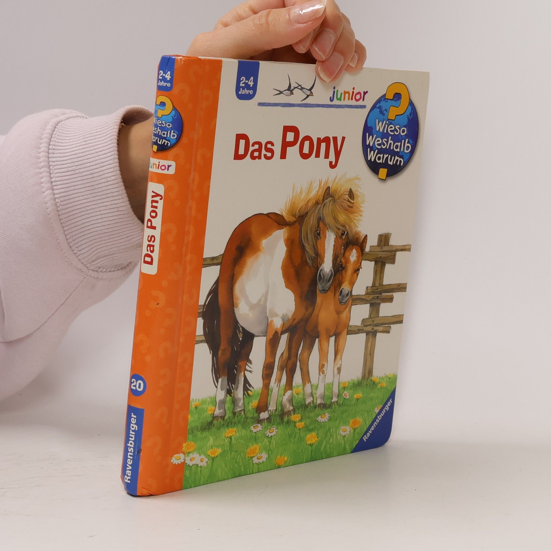Das Pony