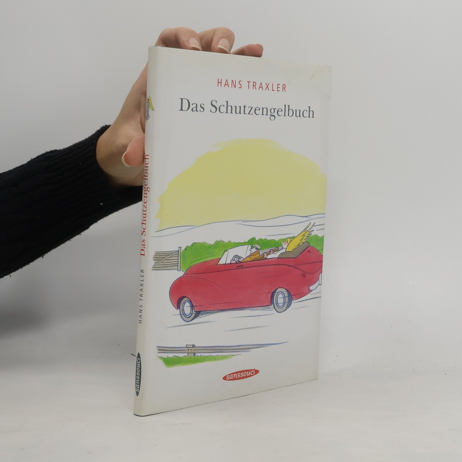 Das Schutzengelbuch