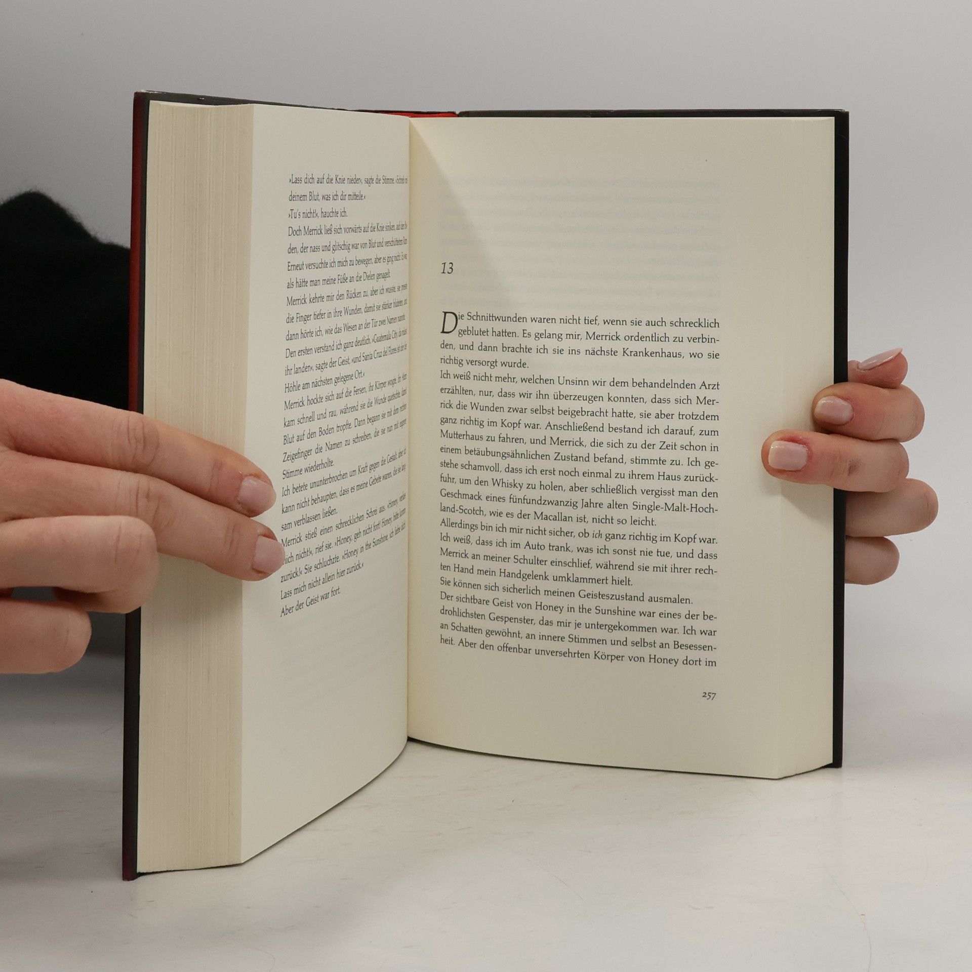 Anne Rice Merrick oder die Schuld des Vampirs