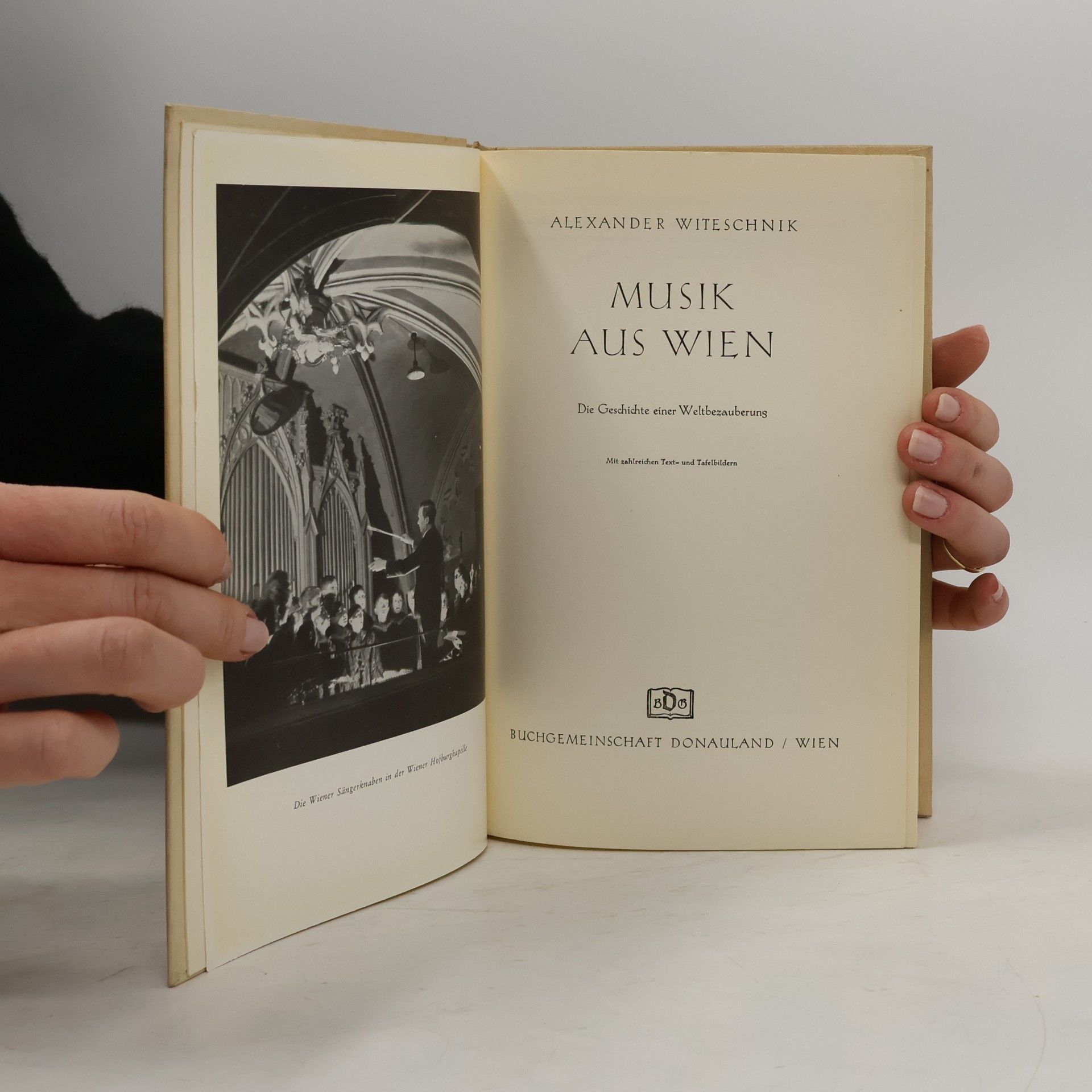 Alexander Witeschik Musik aus Wien