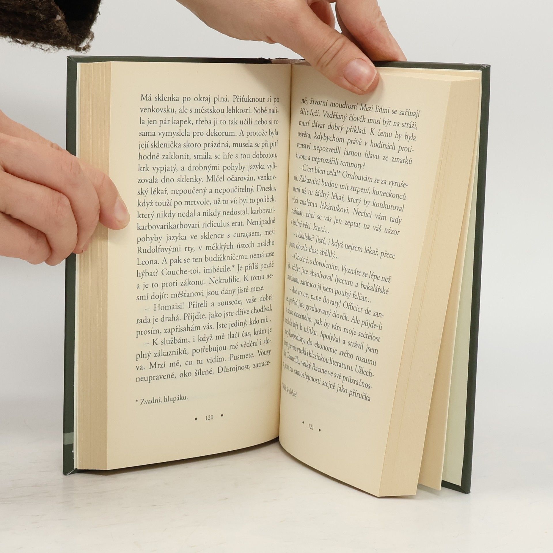 Jean Améry Karel Bovary, venkovský lékař. Portrét obyčejného muže