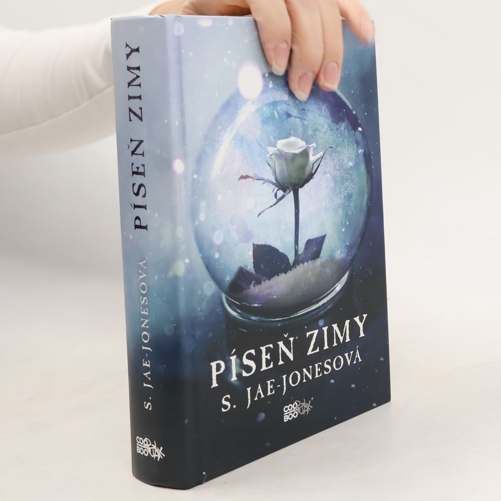Tereza Koldus Frantová Píseň zimy