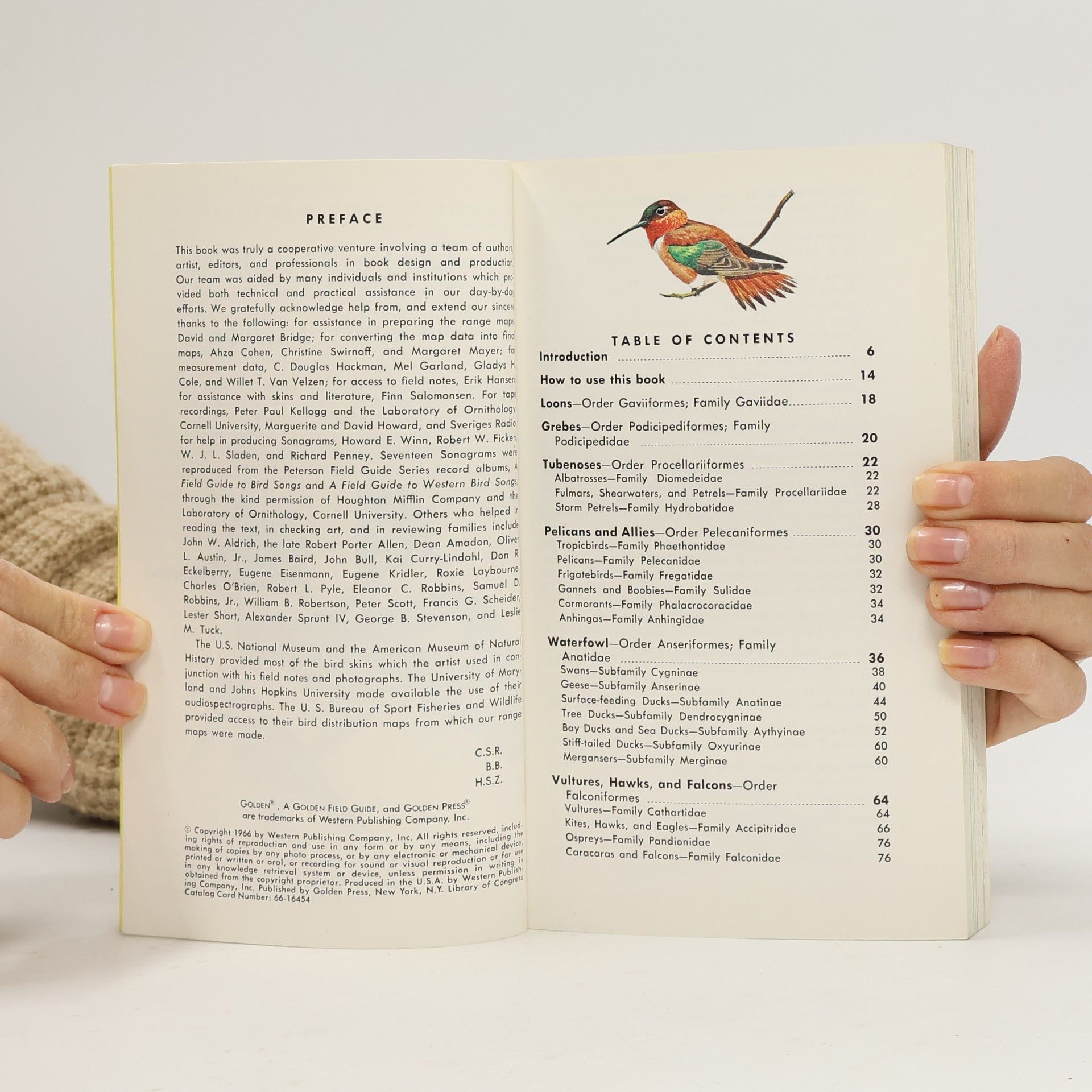 Arthur Singer Birds of North America