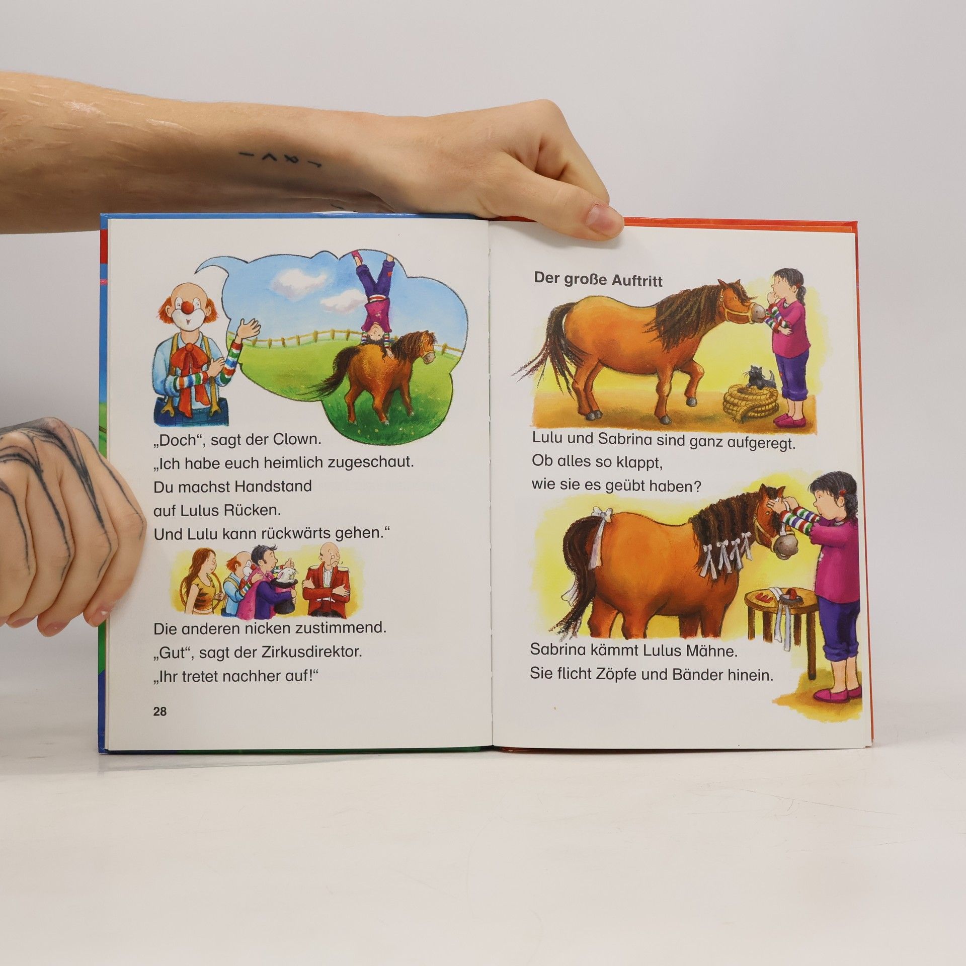 Doris Arend Das tollste Pony der Welt