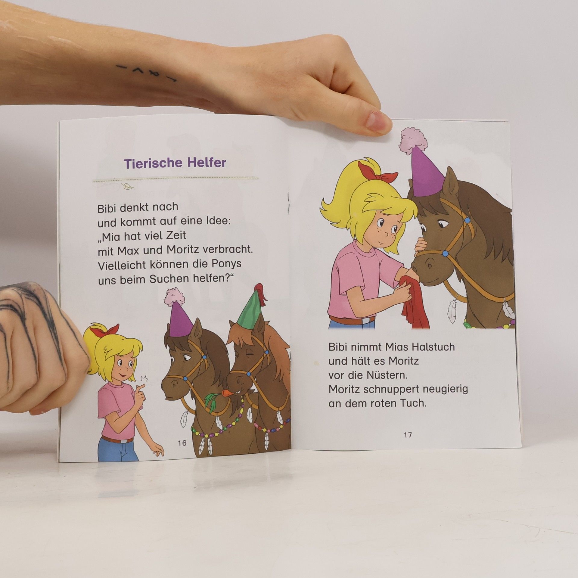 Matthias von Bornstädt Die große Pony-Party