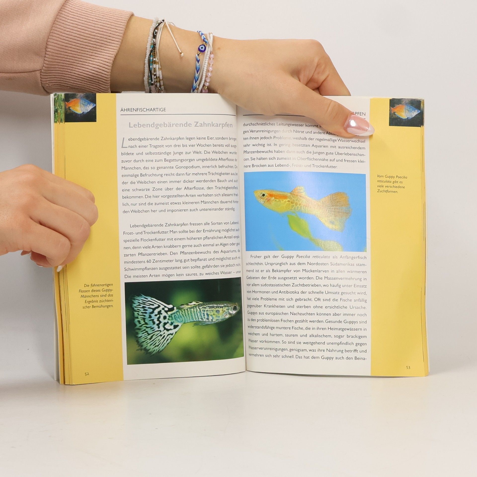 Claus Schaefer Kleiner Atlas der Aquarienfische