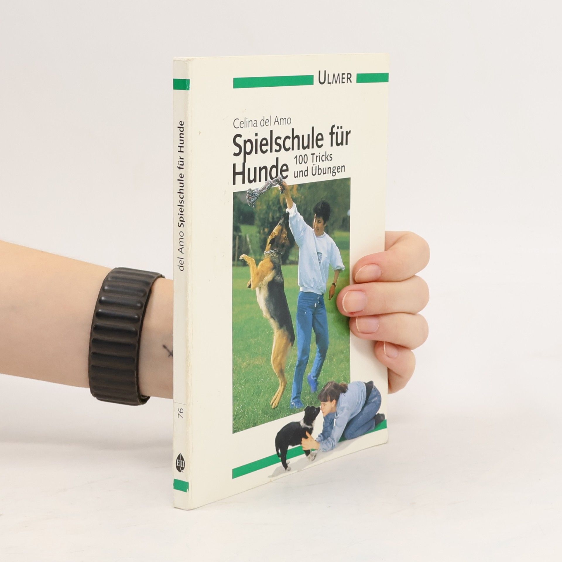 Celina Del Amo Spielschule für Hunde