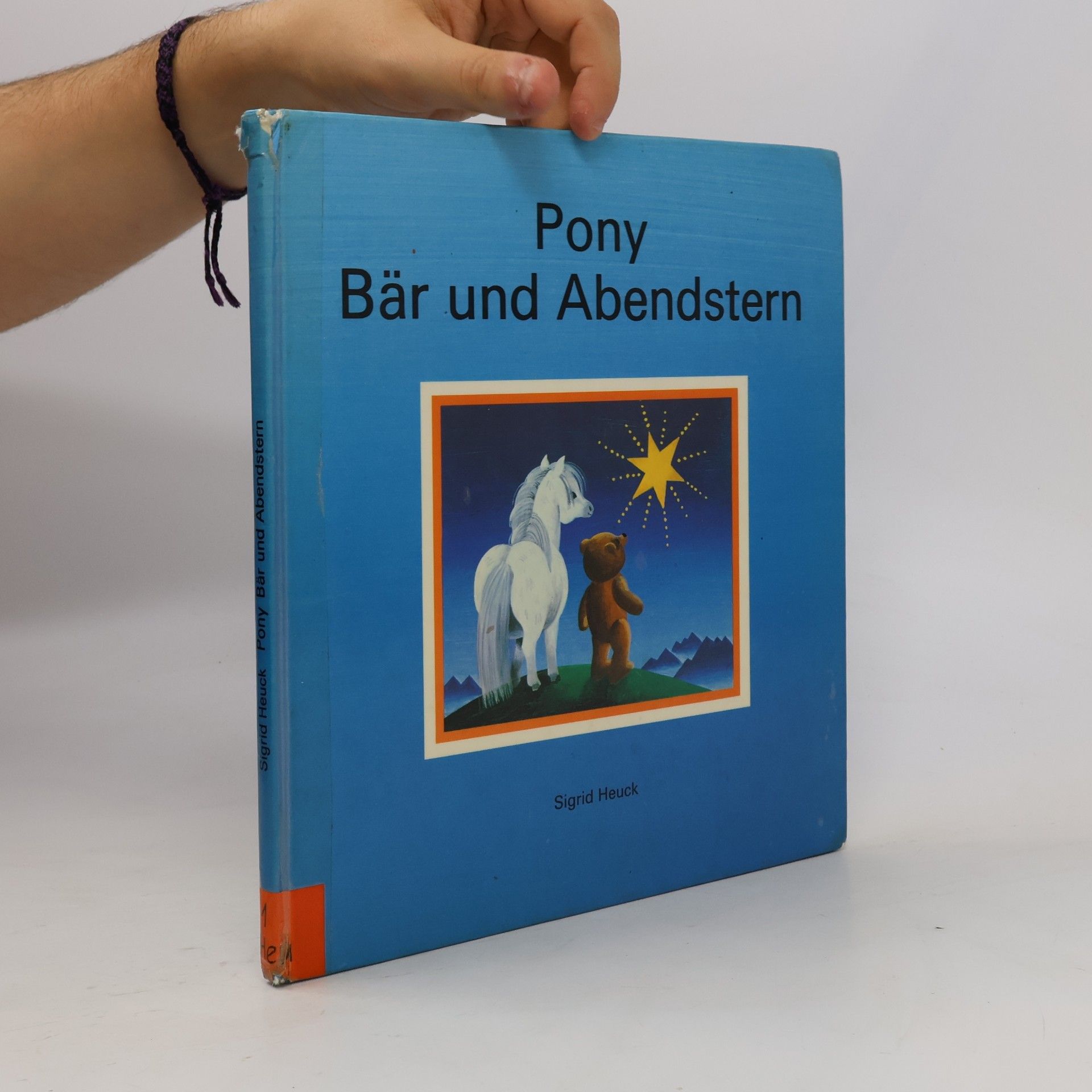 Pony, Bär und Abendstern