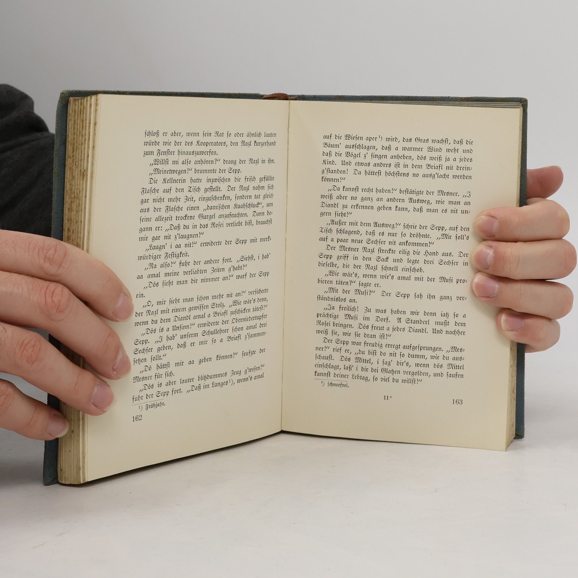 Rudolf Greinz Unterm roten Adler