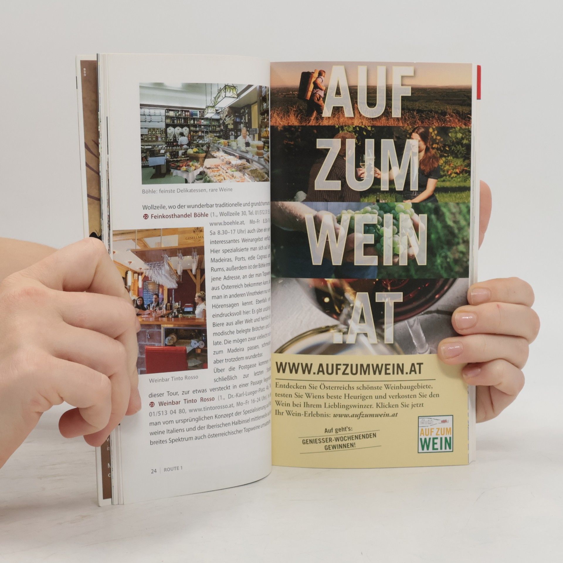 Florian Holzer Wein und Wien
