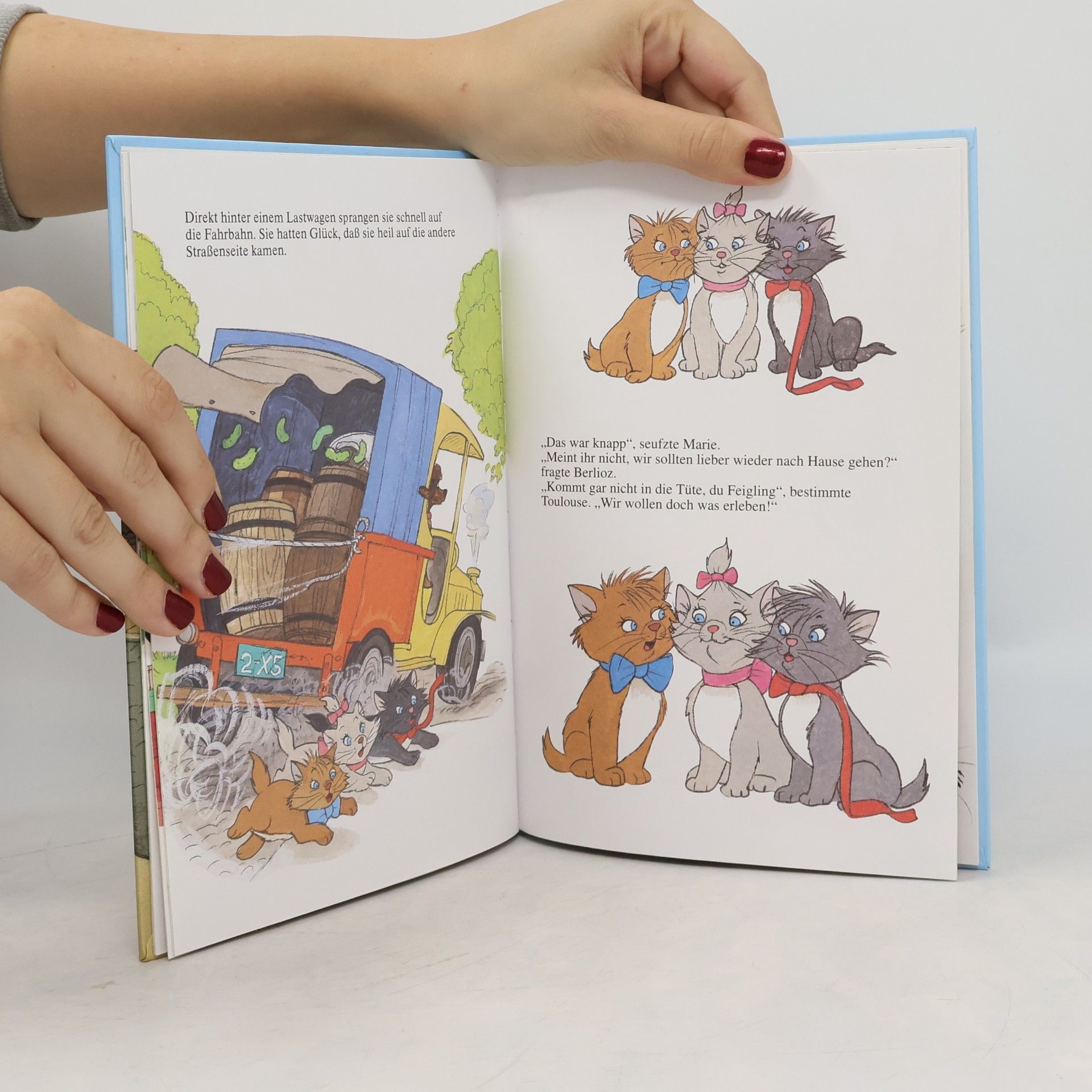 Autorenkollektiv Die Aristocats auf Abwegen