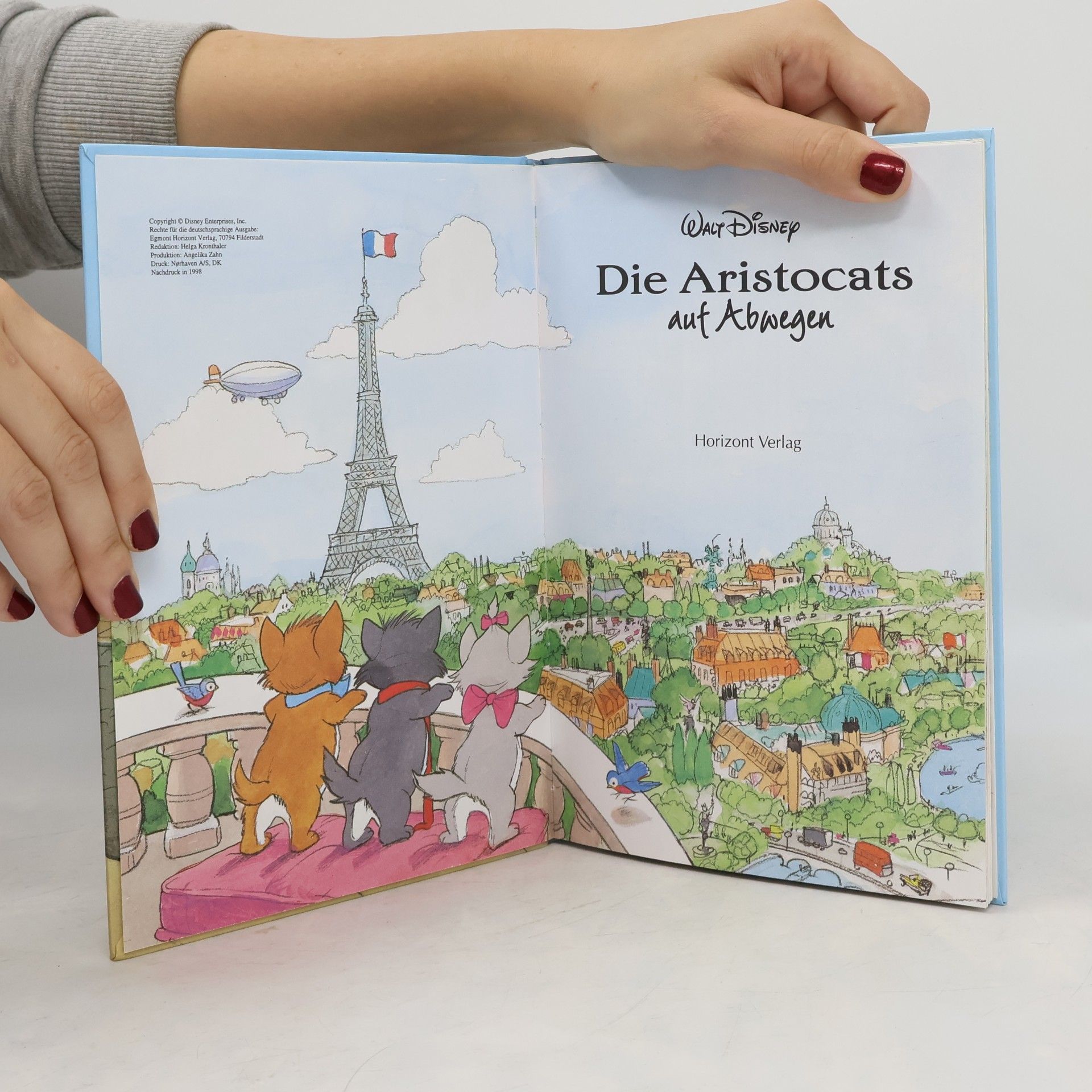 Autorenkollektiv Die Aristocats auf Abwegen