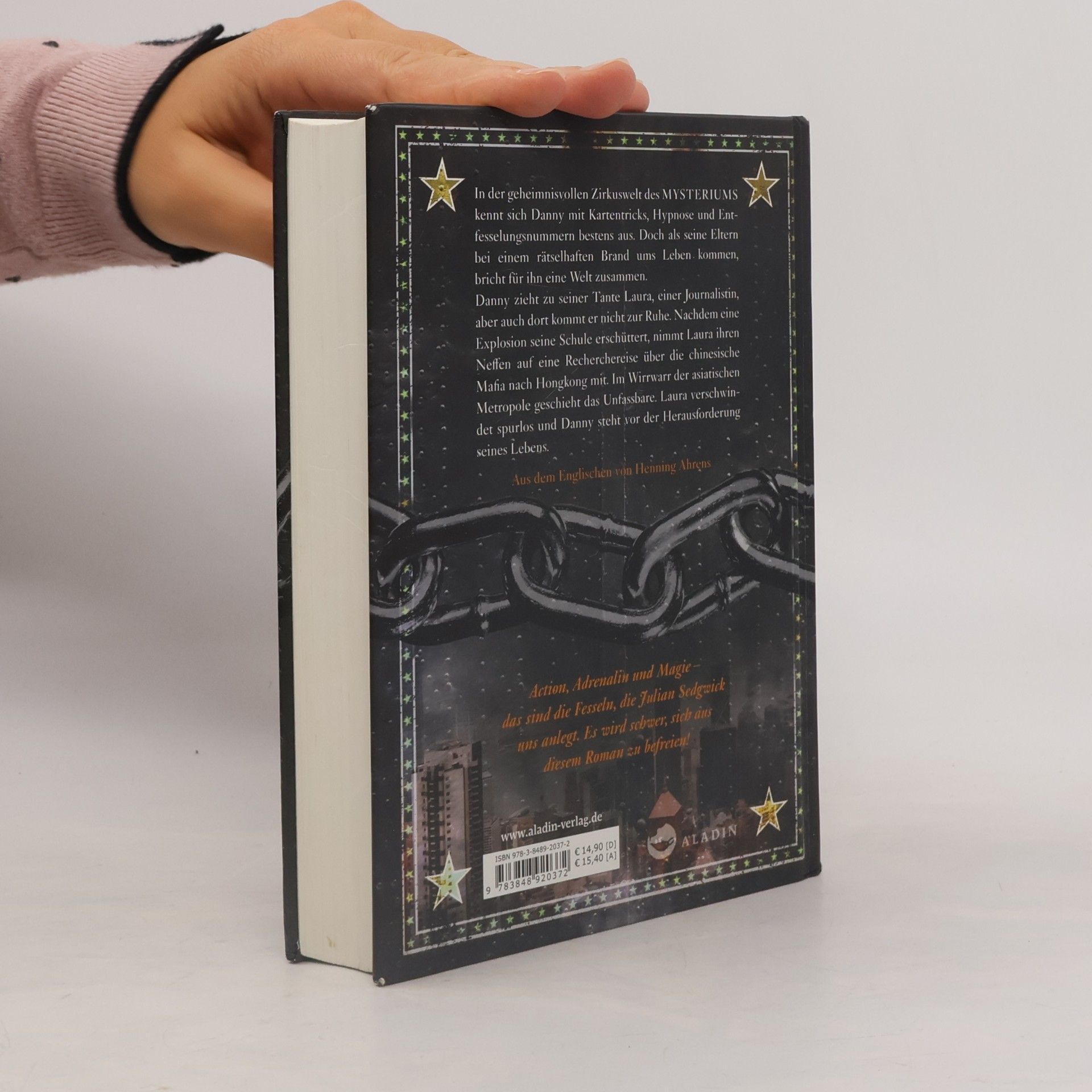 Julian Sedgwick Mysterium - der schwarze Drache