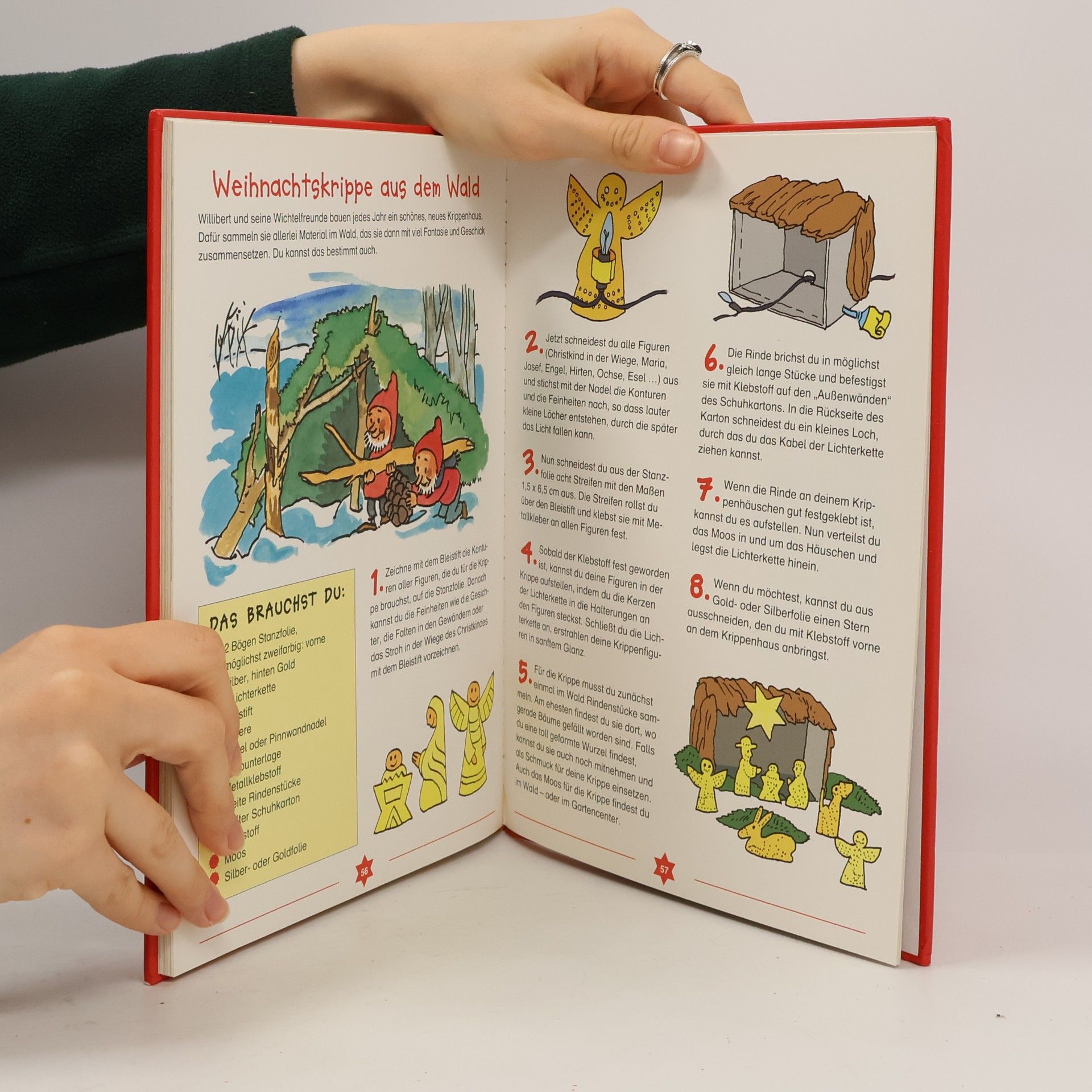 Annette Maas Wichtelland-Weihnachtsbuch