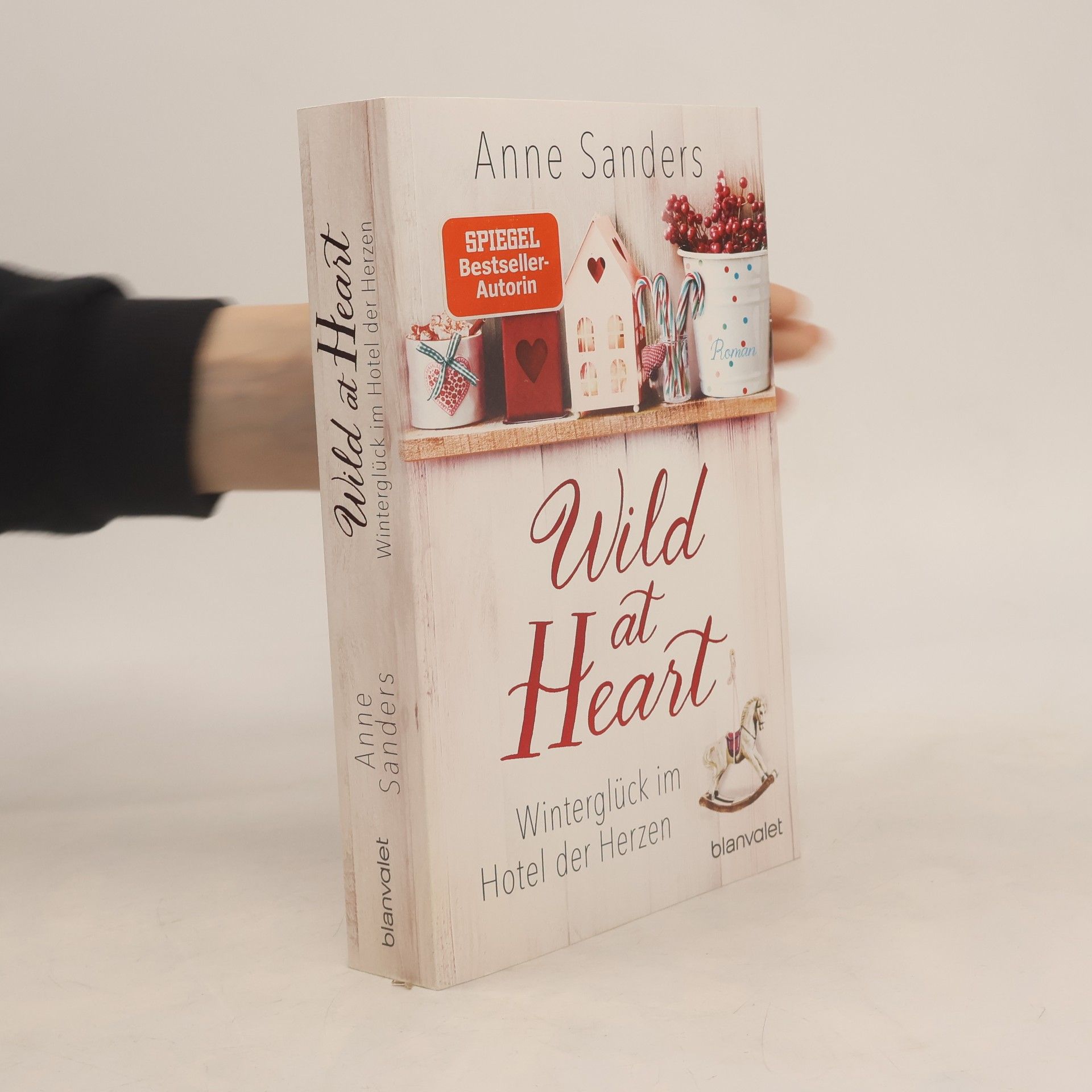 Anne Sanders Wild at heart - Winterglück im Hotel der Herzen