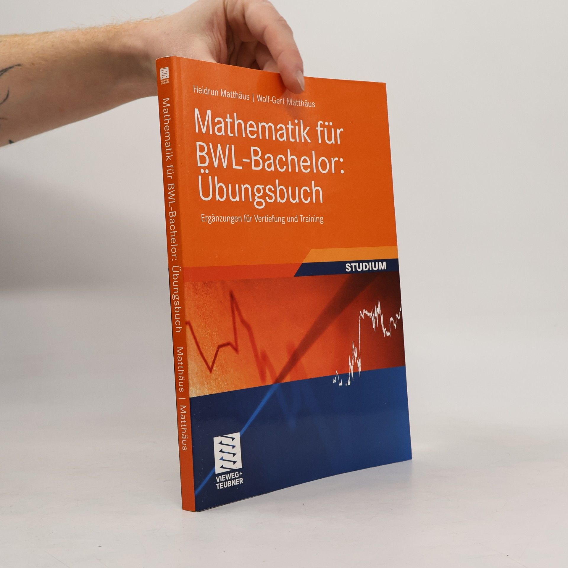 Heidrun Matthäus Mathematik für BWL-Bachelor: Übungsbuch