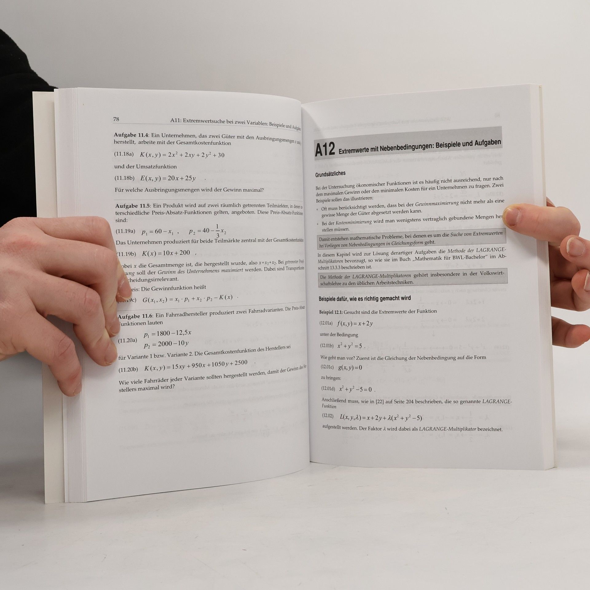 Heidrun Matthäus Mathematik für BWL-Bachelor: Übungsbuch