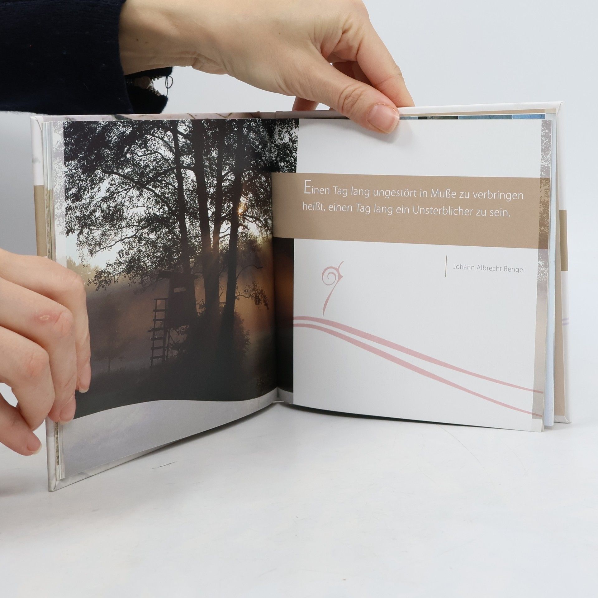 Autores varios Entspannung