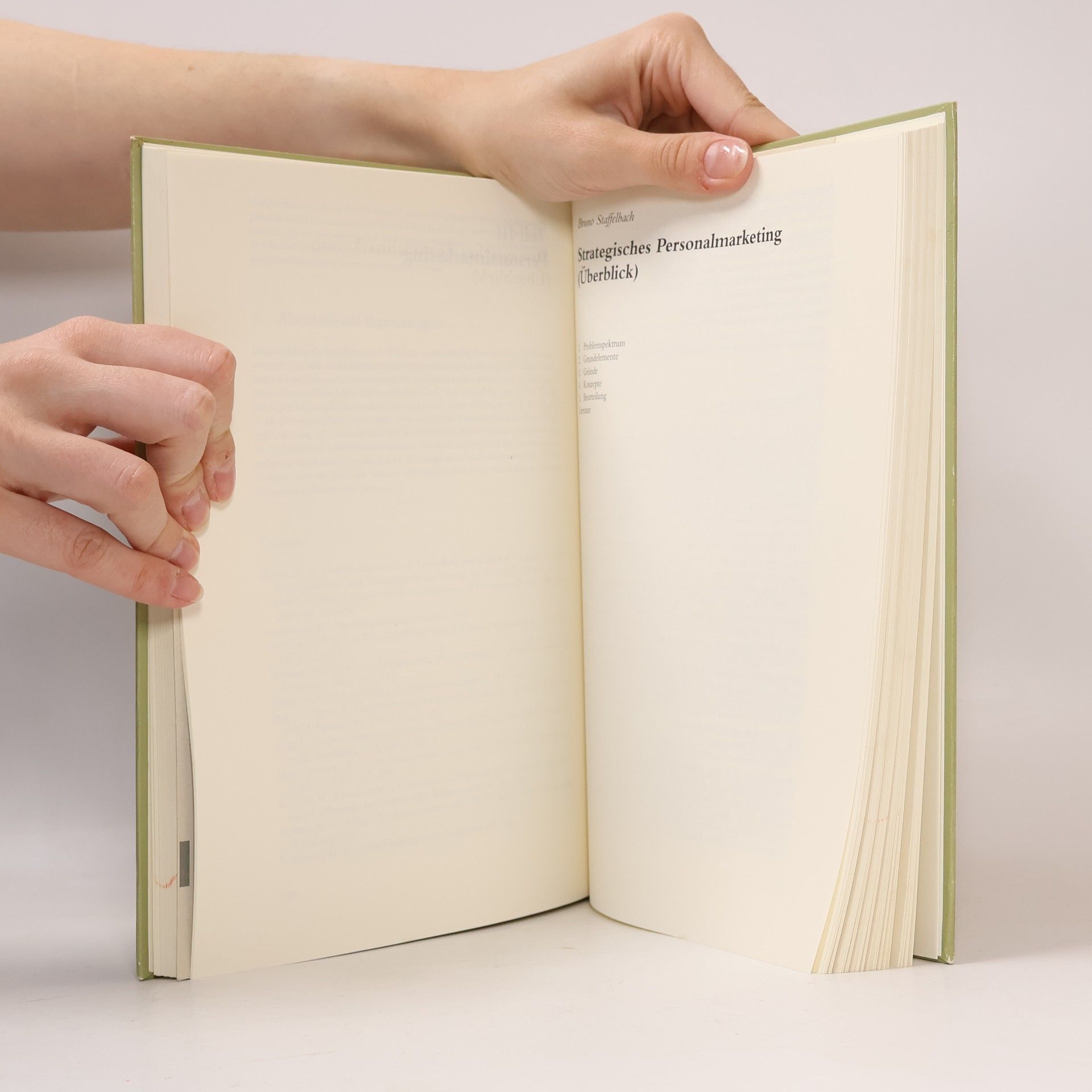 Christian Scholz USW-Schriften für Führungskräfte - 28: Strategisches Personalmanagement