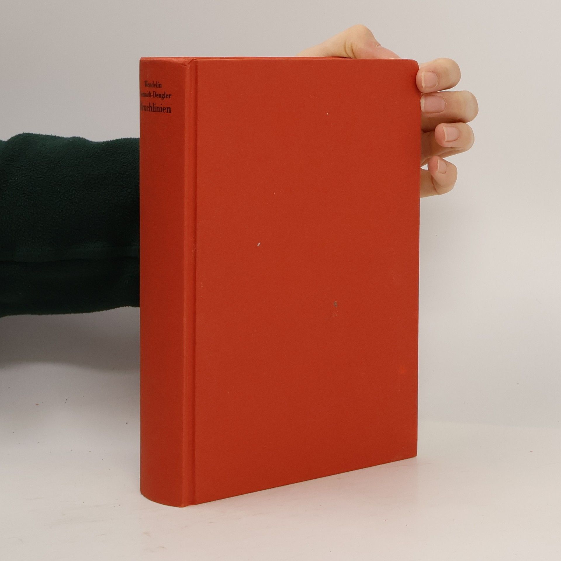 Wendelin Schmidt Dengler Bruchlinien 1