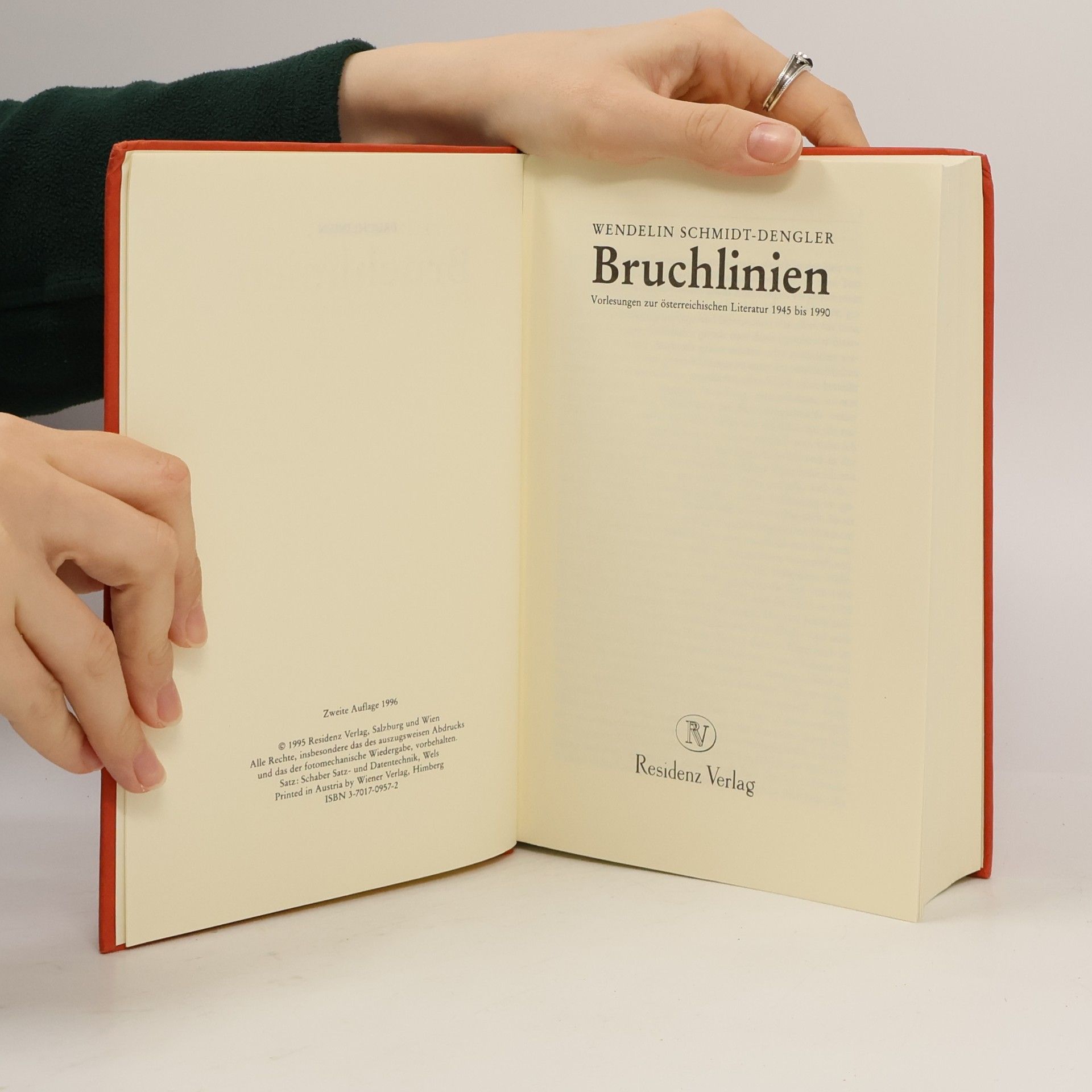 Wendelin Schmidt Dengler Bruchlinien 1