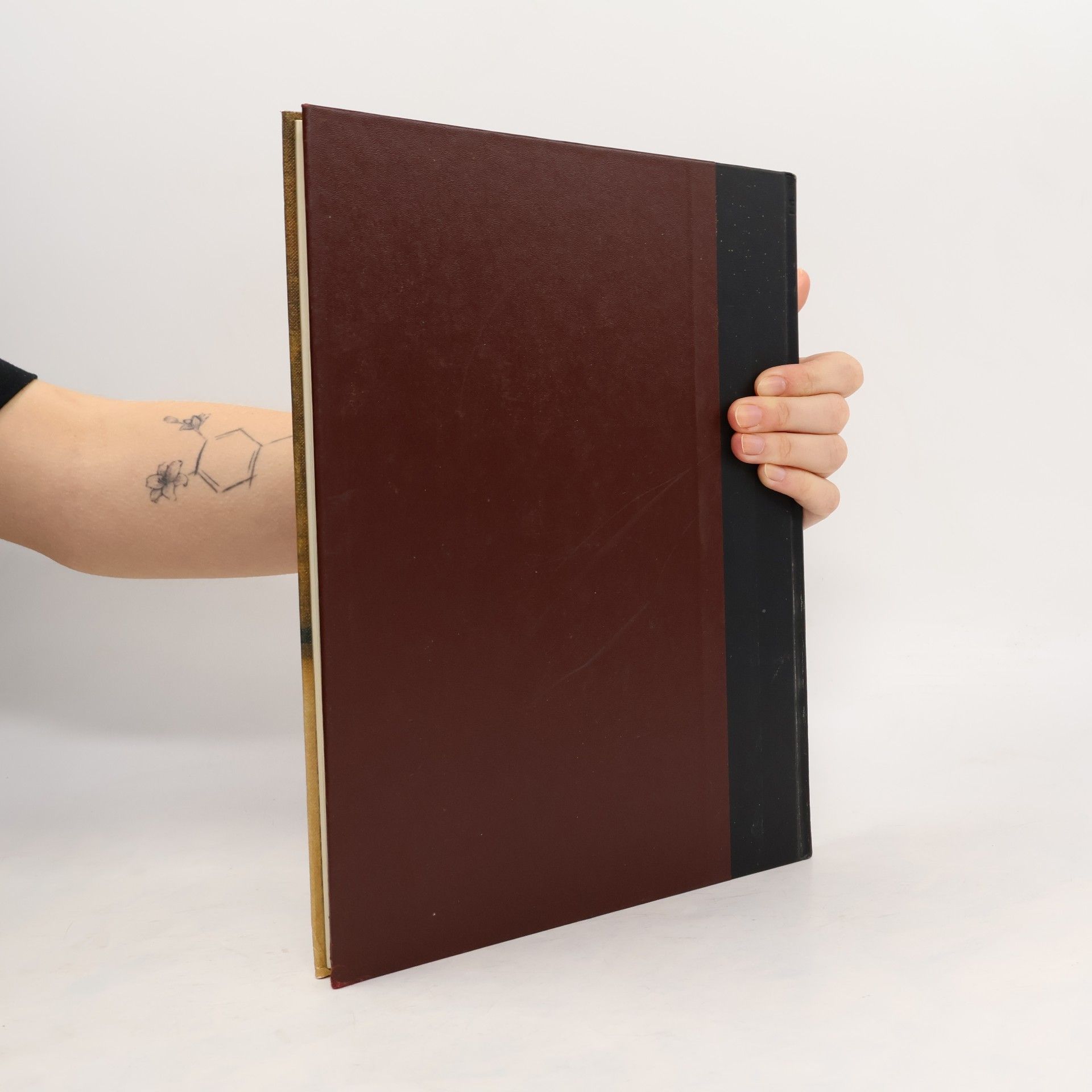 Autores varios Vermeer und seine Zeit
