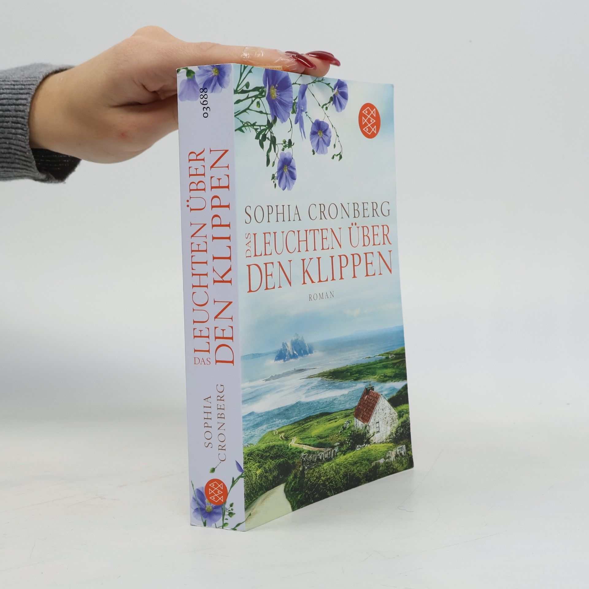 Das Leuchten über den Klippen