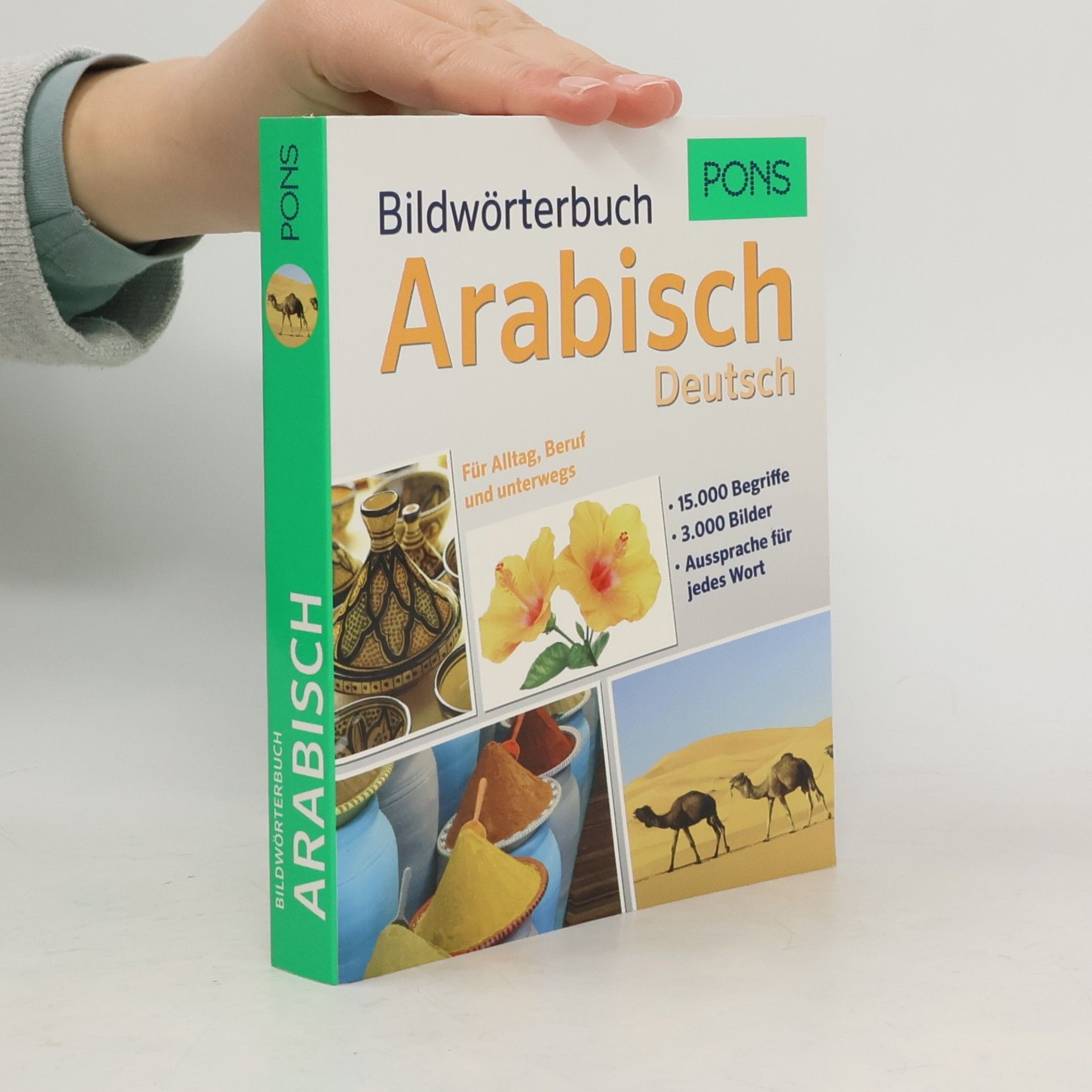 Lanna Altakleh Bildwörterbuch Arabisch Deutsch