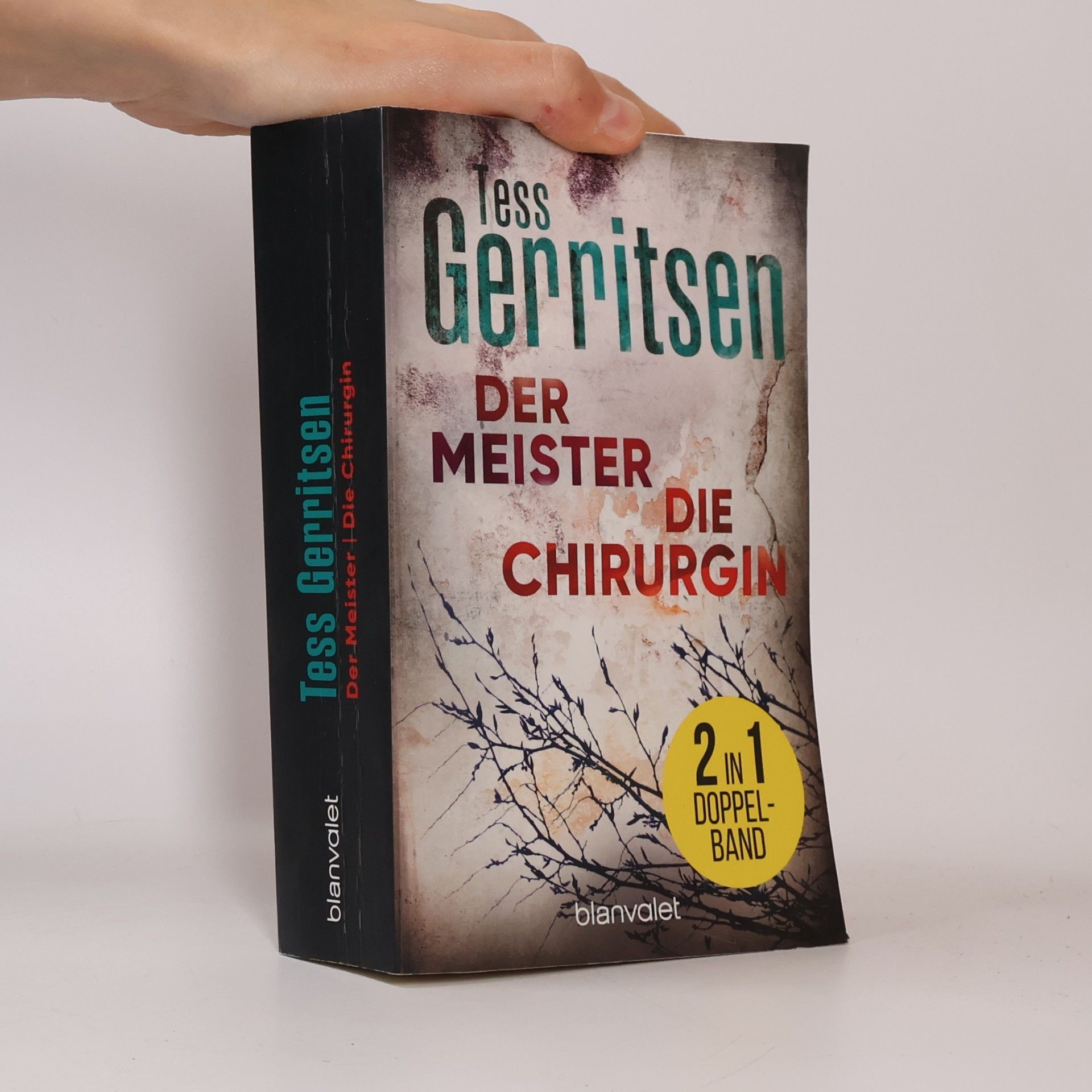 Der Meister. Die Chirurgin