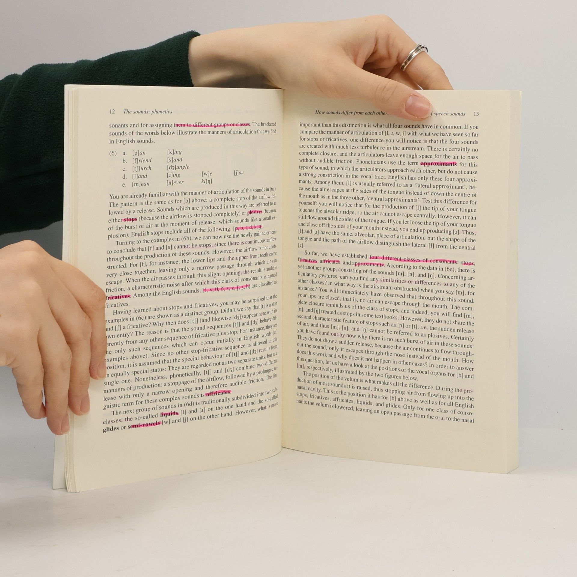 Ingo Plag Introduction to English linguistics