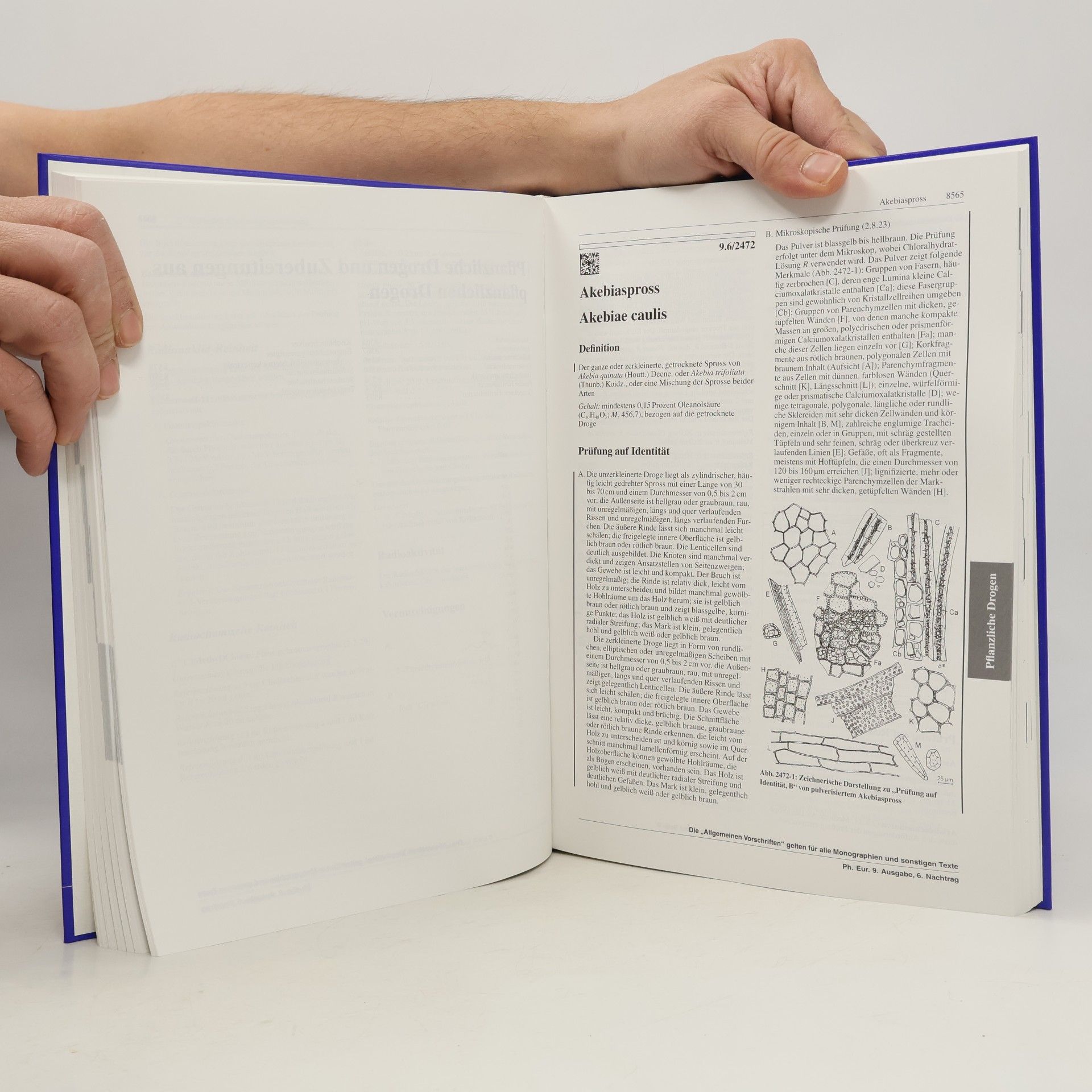 Autorenkollektiv Europäisches Arzneibuch 9.6