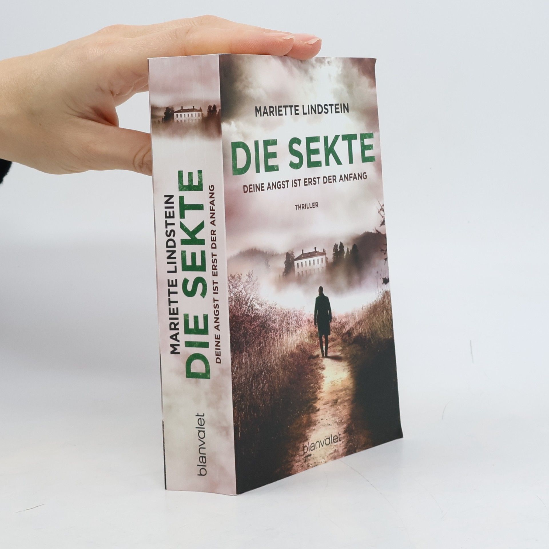 Die Sekte. Deine Angst ist erst der Anfang