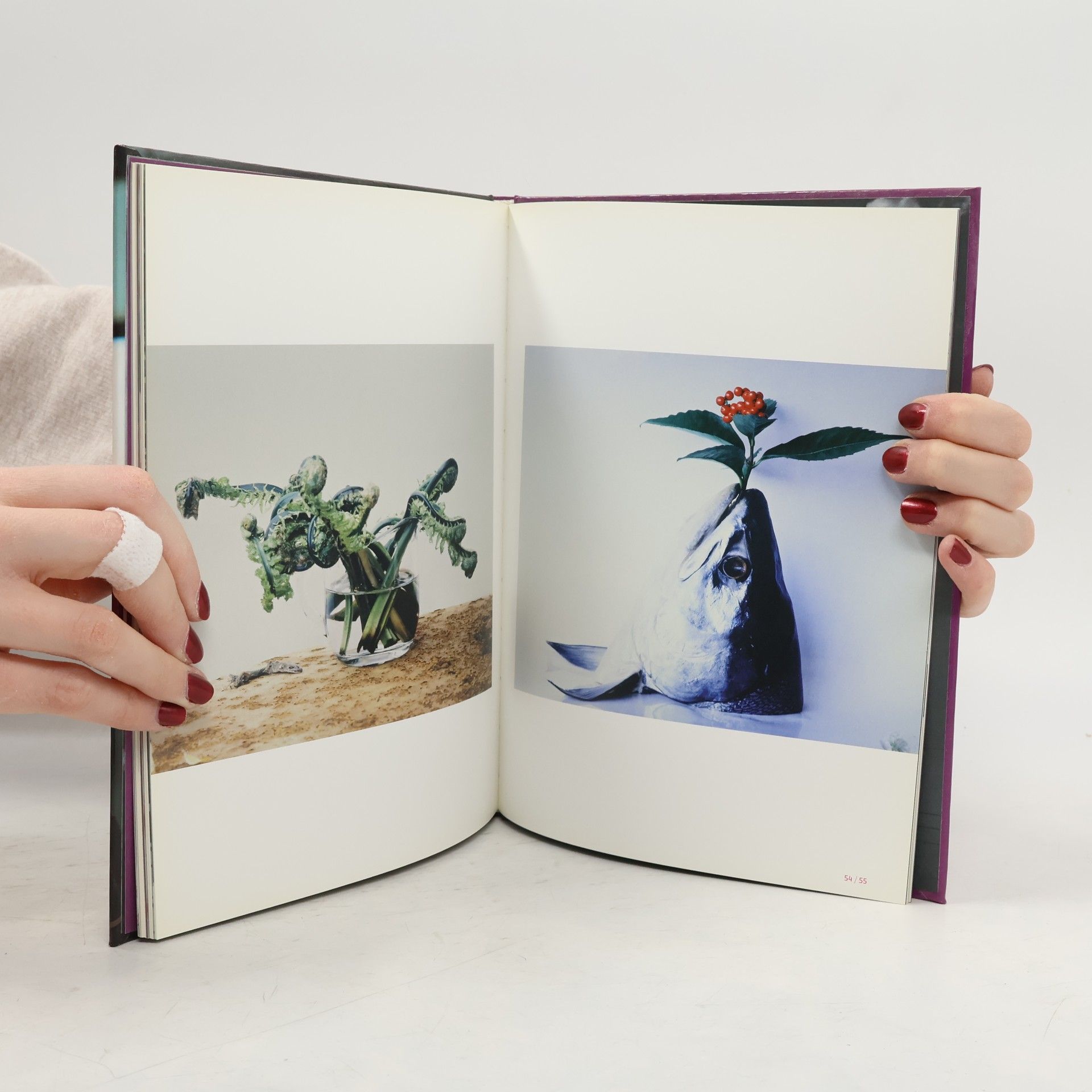 Nobuyoshi Araki Nobuyoshi Araki: Tokyo flowers