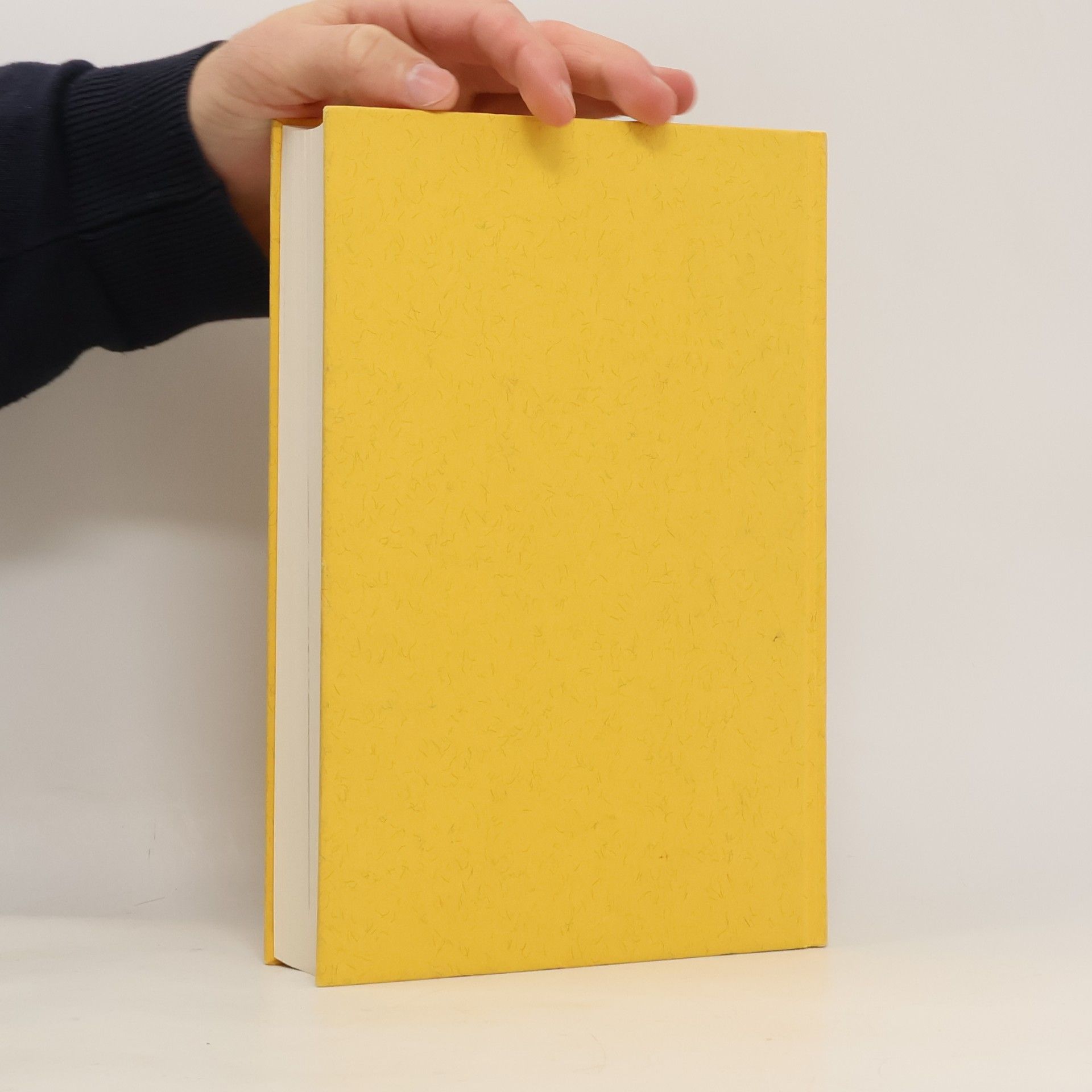 Bertil Torekull Das Geheimnis von IKEA