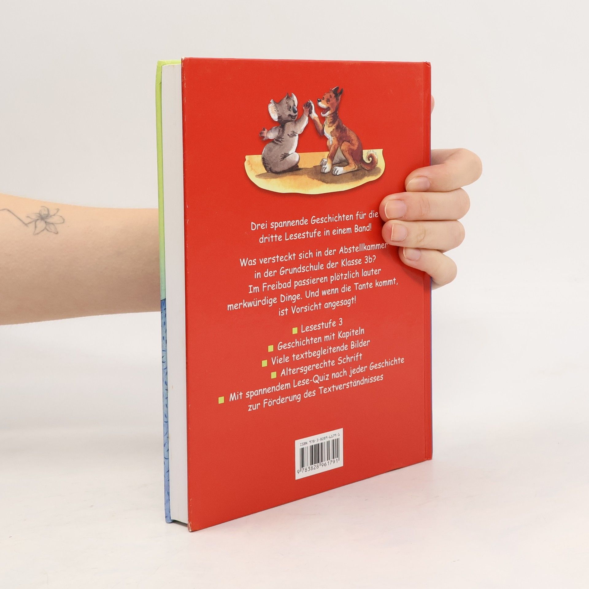 Autores varios Schmöker geschichten