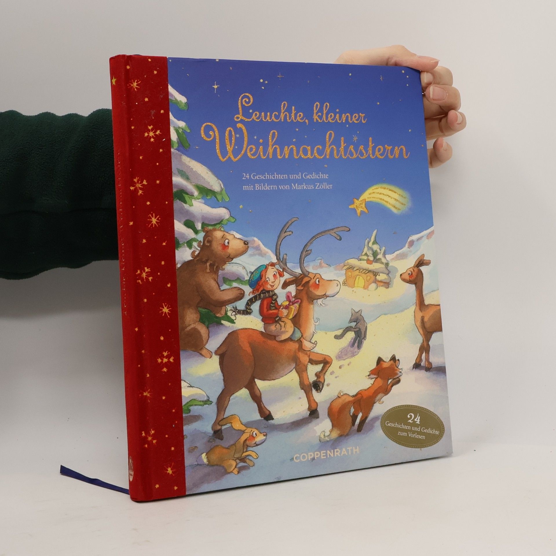 Britta Kudla Leuchte, kleiner Weihnachtsstern
