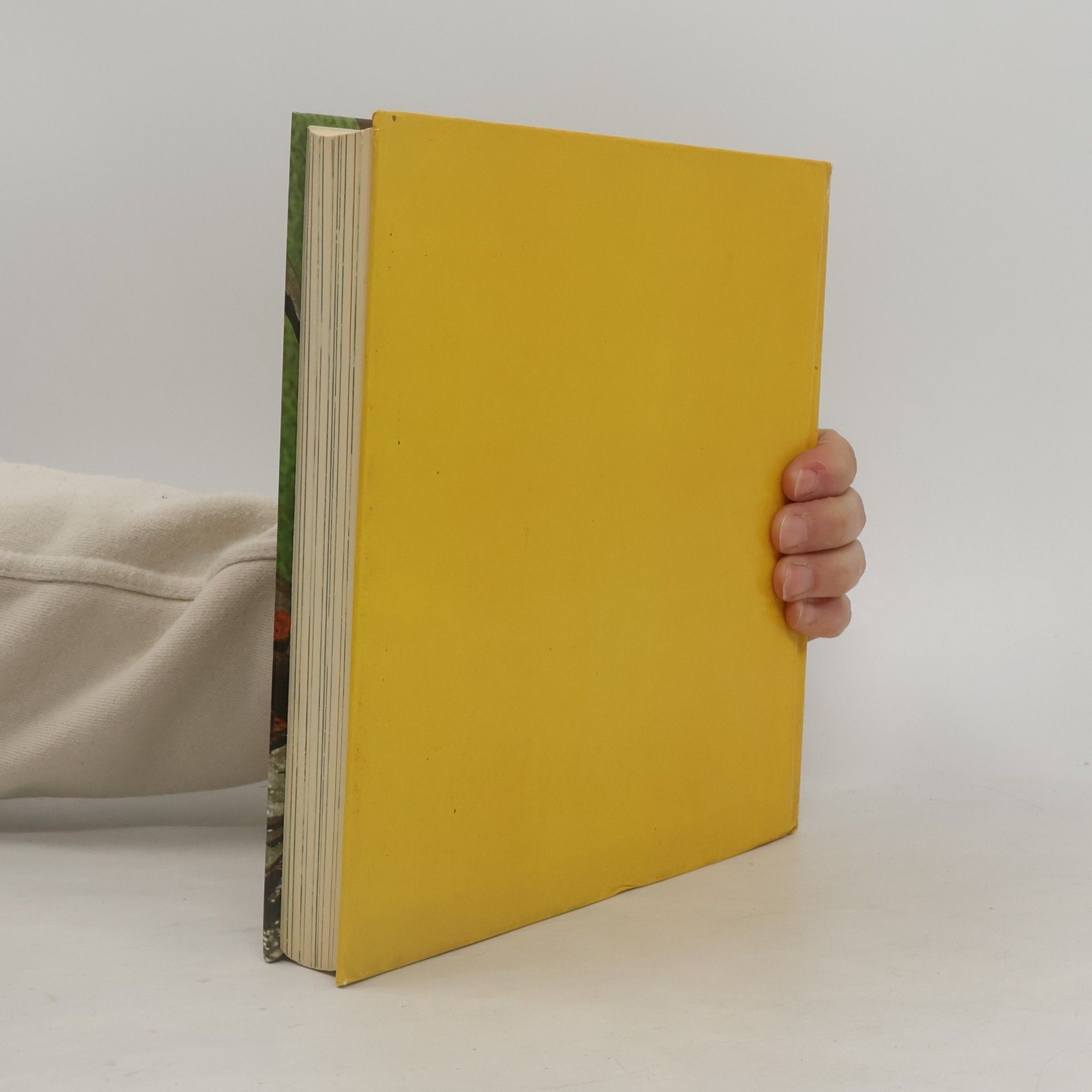 AA.VV. Das große Grillbuch